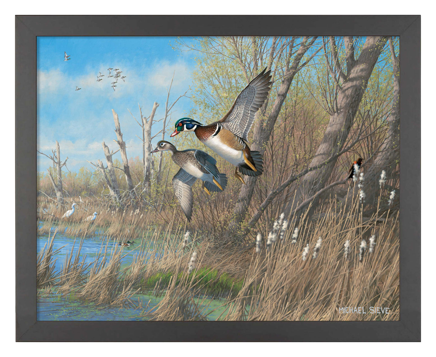 Sunday's Best Wood Ducks - Art Prints