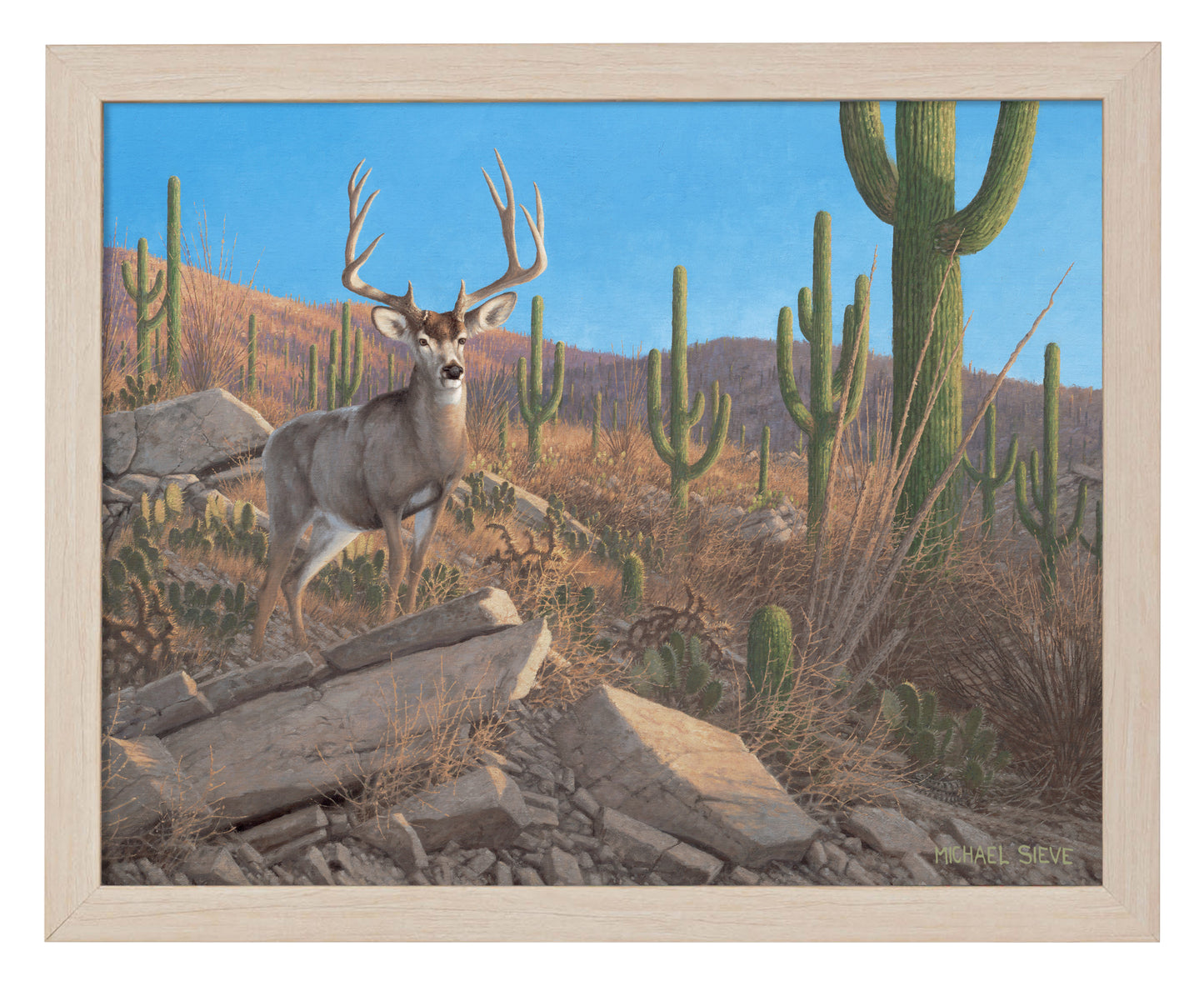Sonora Sunrise - Mule Deer - Art Prints