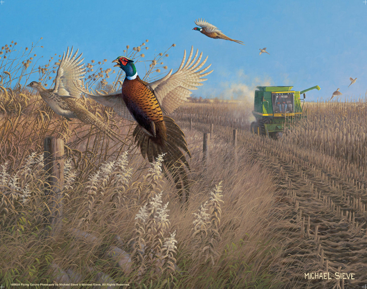 Flying Colors - Pheasants - Art Prints