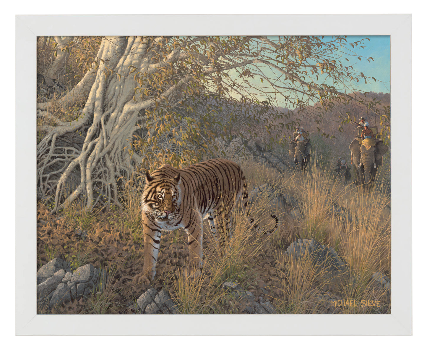 Royal Hunt - Tiger - Art Prints
