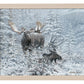 Patient Suitor - Moose - Art Prints