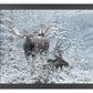 Patient Suitor - Moose - Art Prints