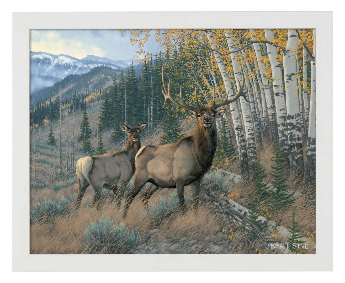 Eastern Slope - Elk - Art Prints