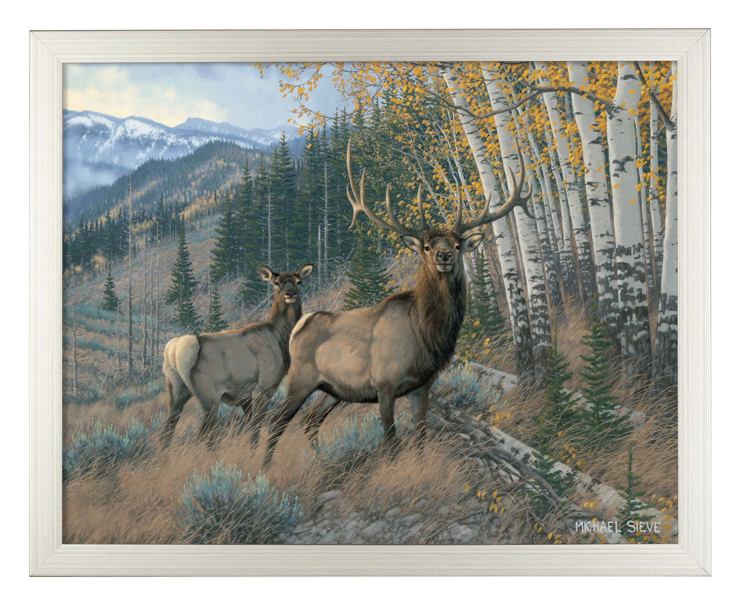 Eastern Slope - Elk - Art Prints