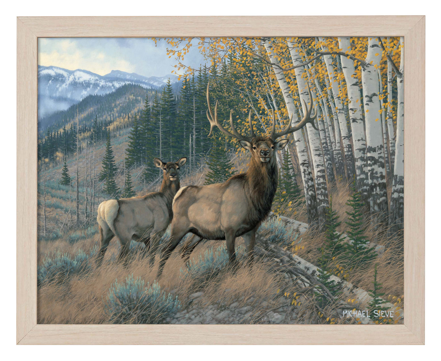 Eastern Slope - Elk - Art Prints