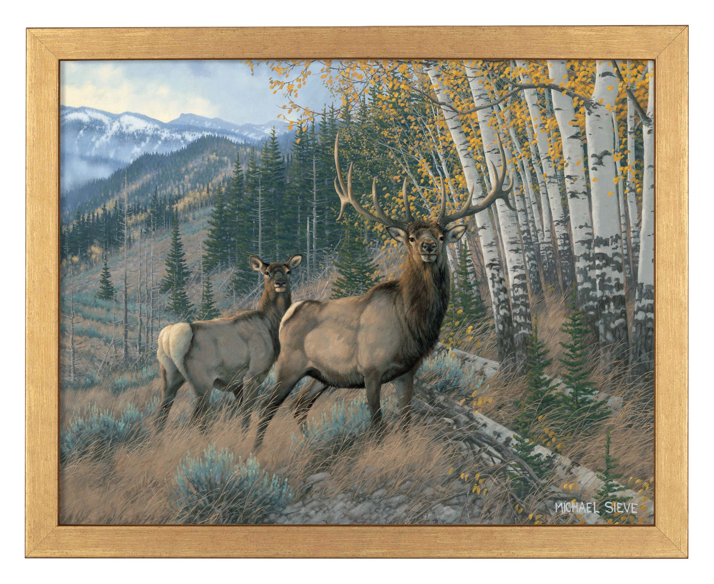 Eastern Slope - Elk - Art Prints