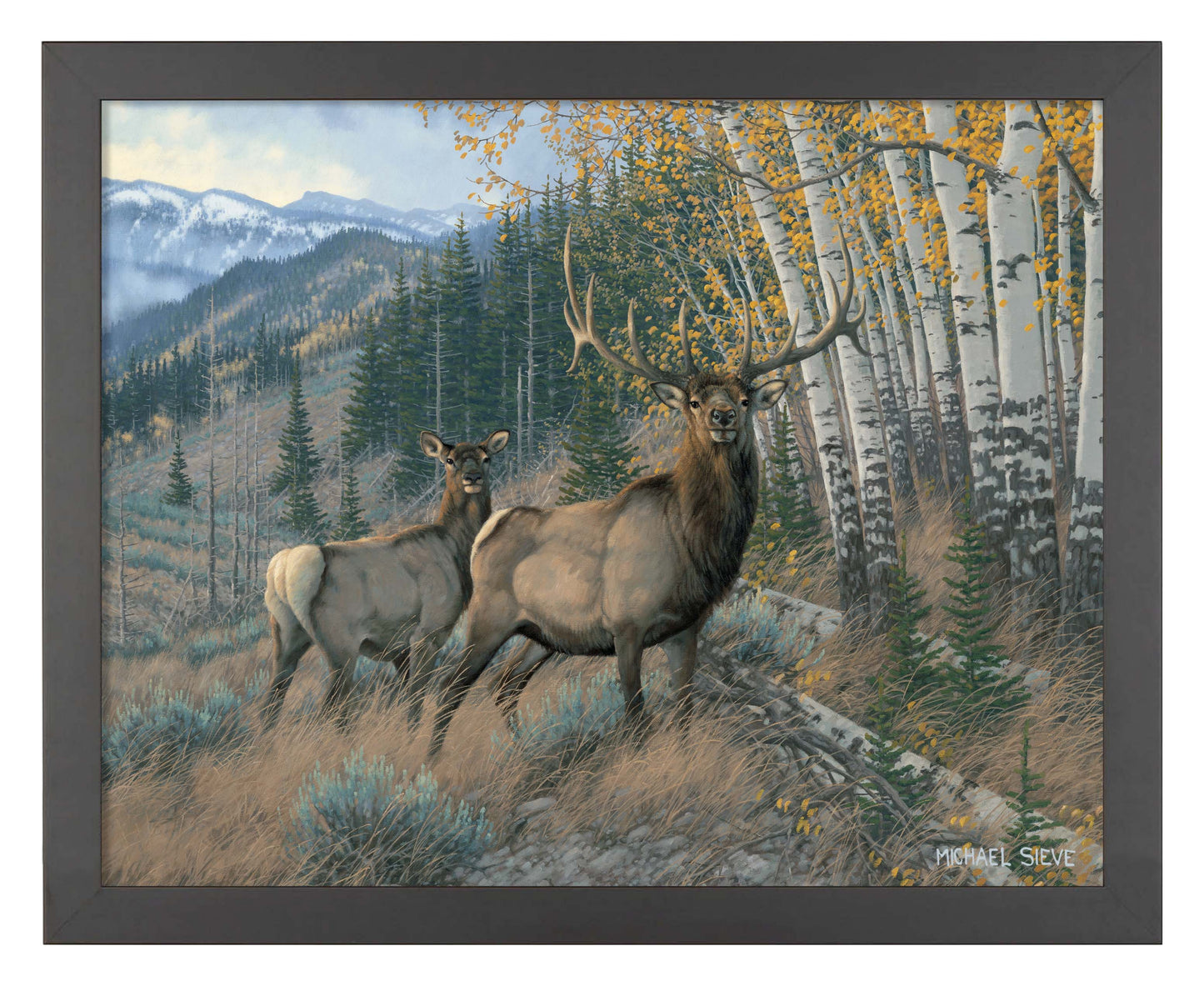 Eastern Slope - Elk - Art Prints