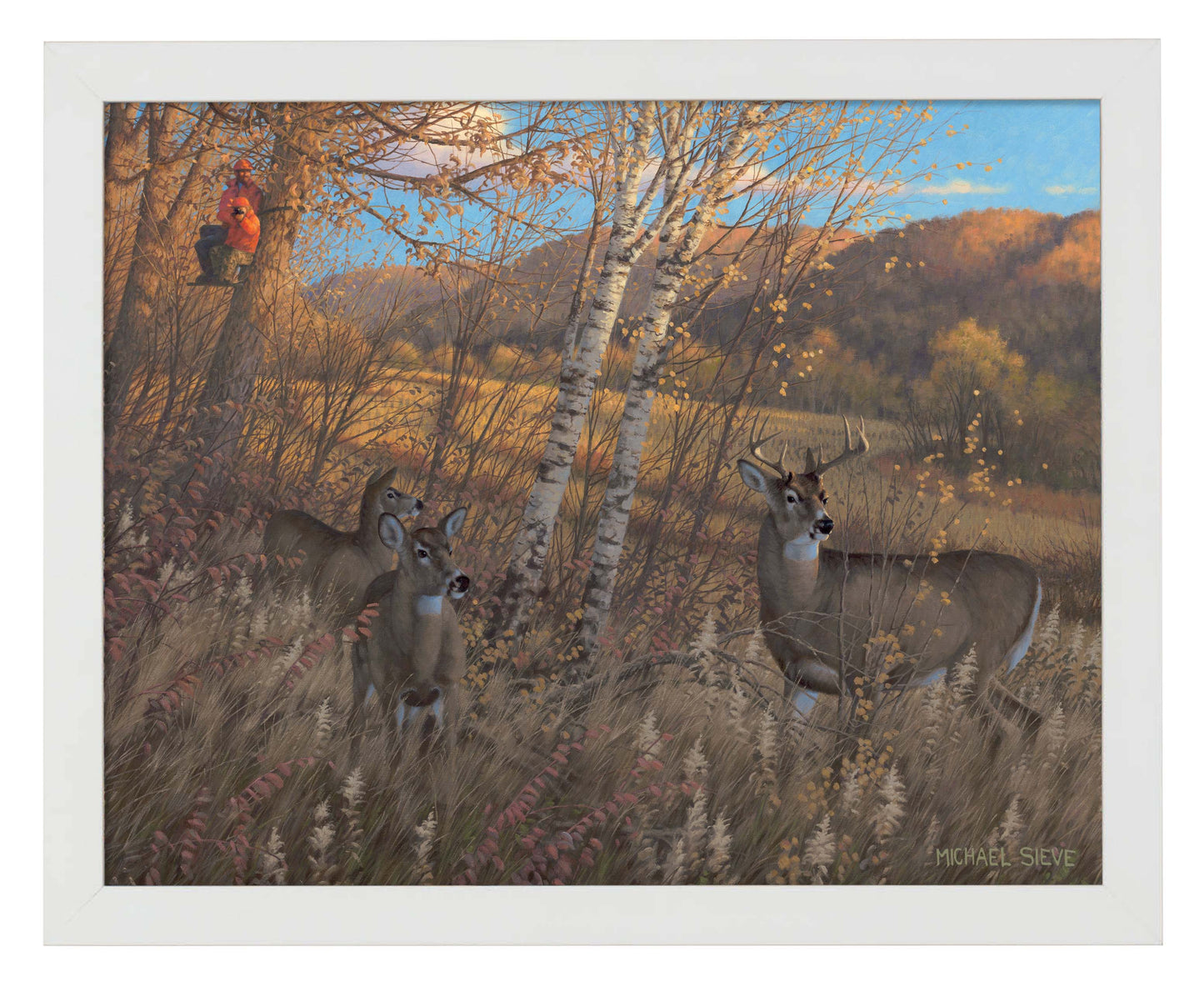 Zone 3 Youth Season Deer - Art Prints