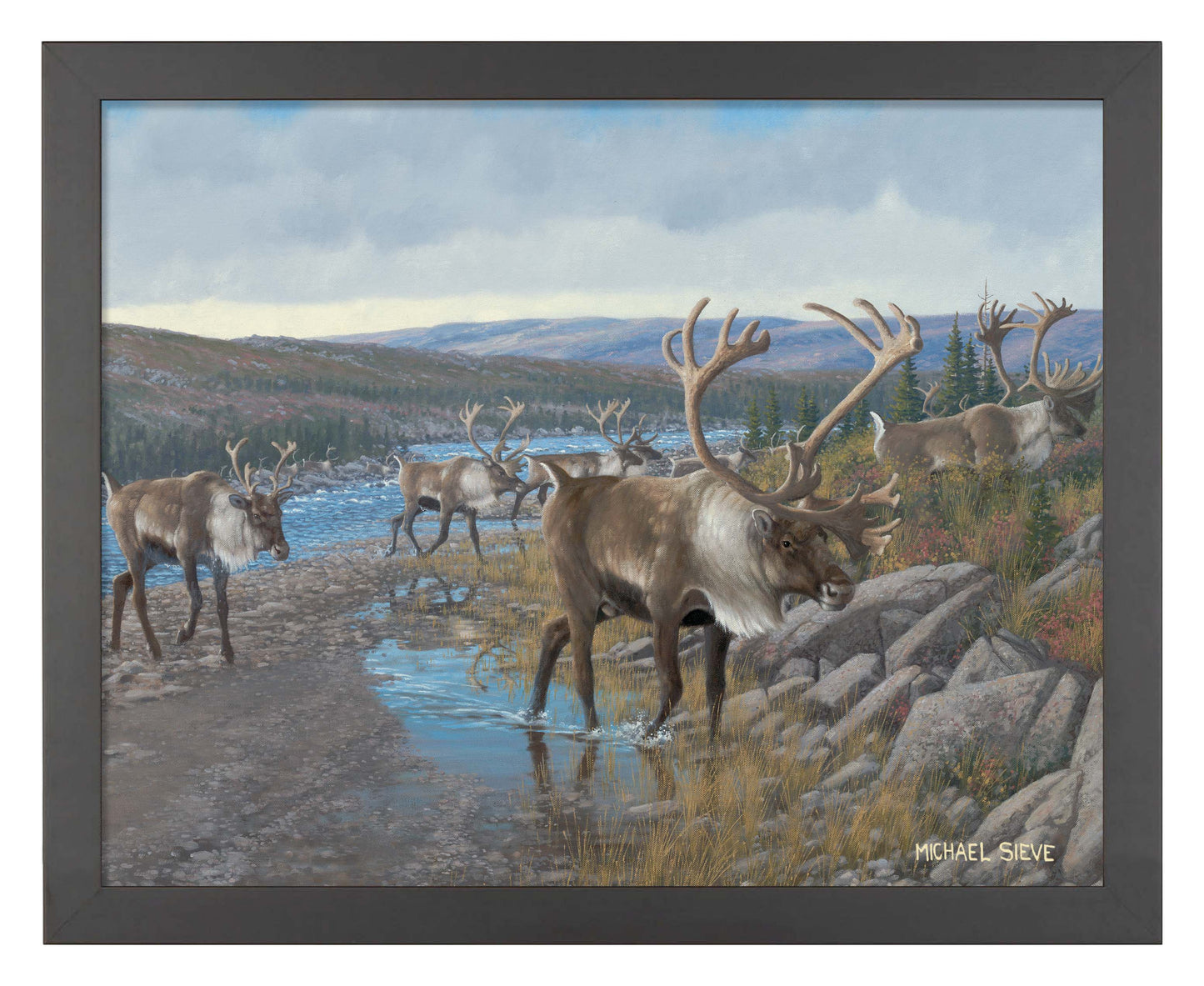 Velvet Crossing - Caribou - Art Prints
