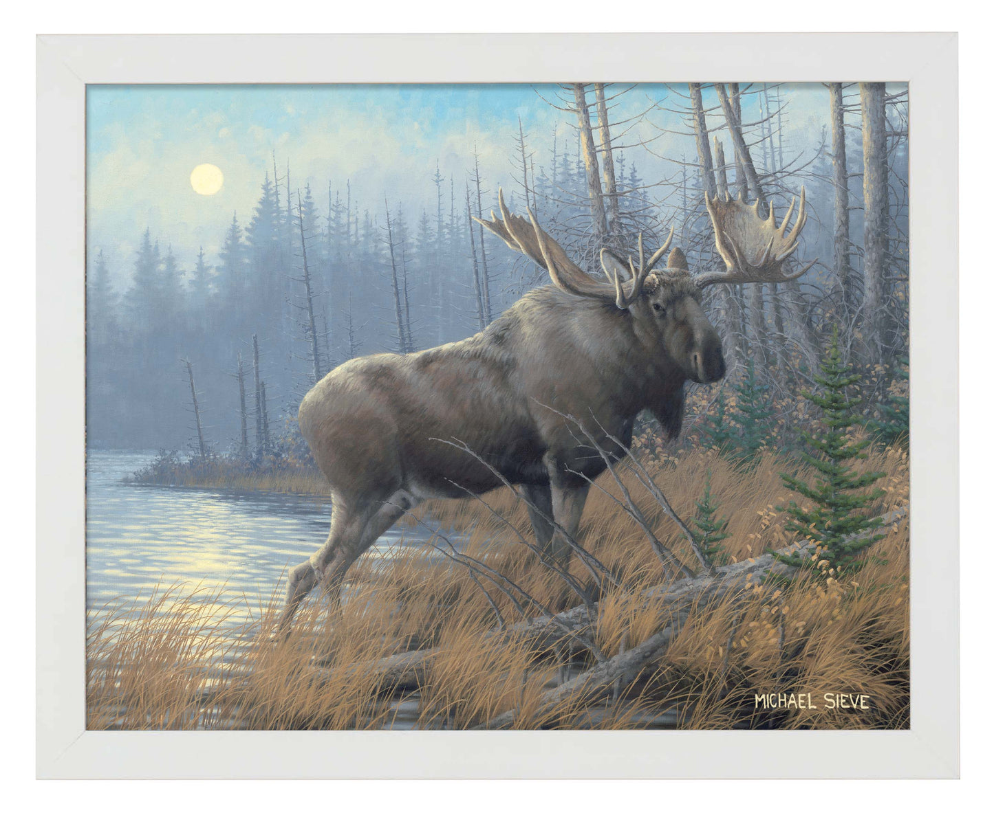 Out of the Mist Moose - Art Prints