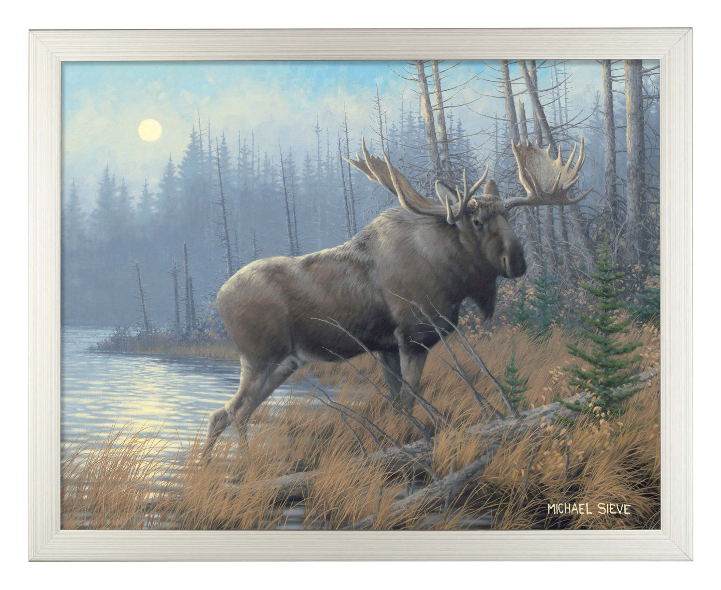 Out of the Mist Moose - Art Prints