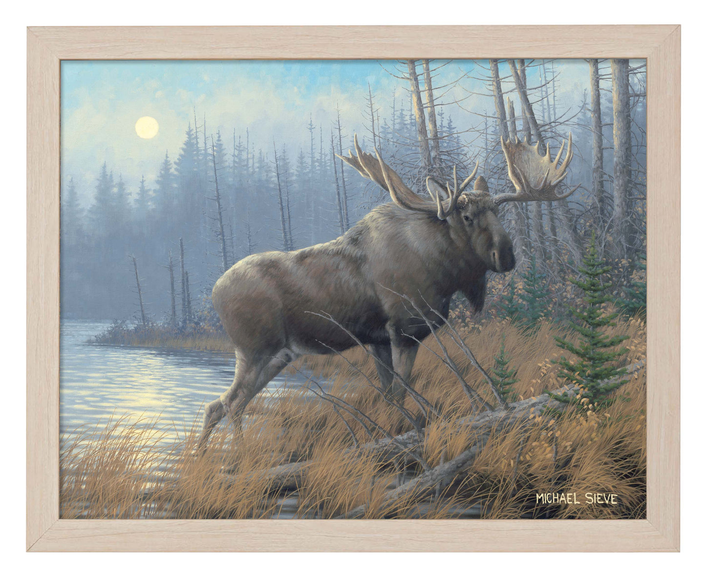 Out of the Mist Moose - Art Prints