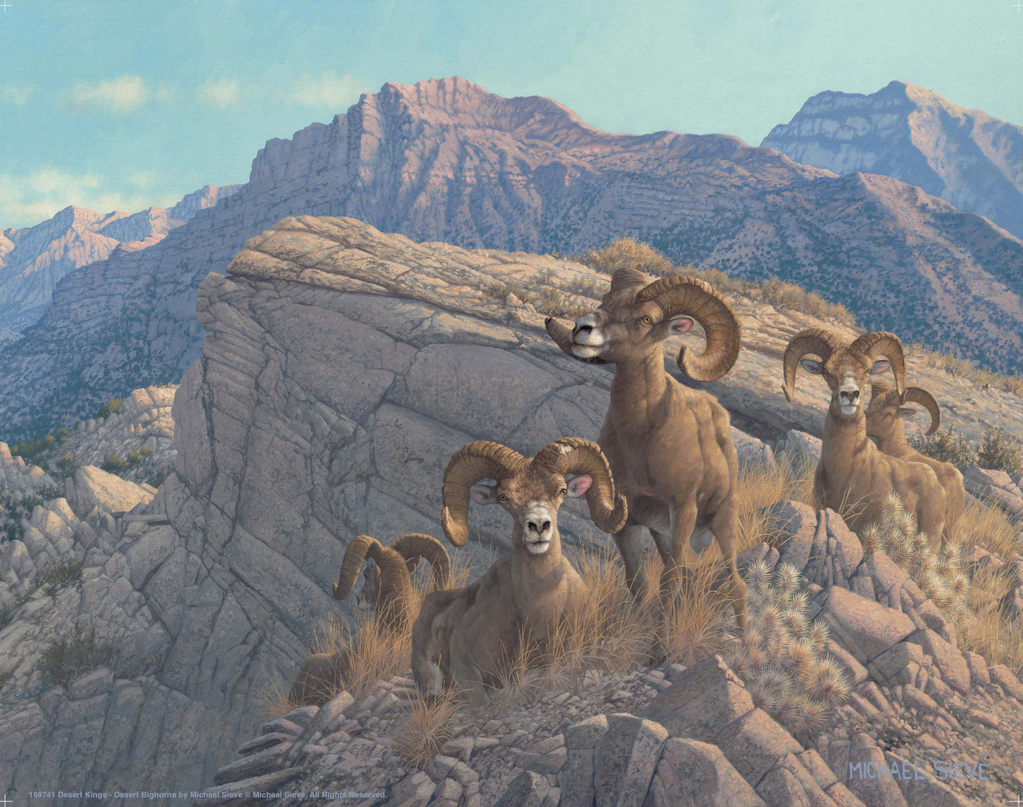 Desert Kings - Desert Bighorn - Art Prints
