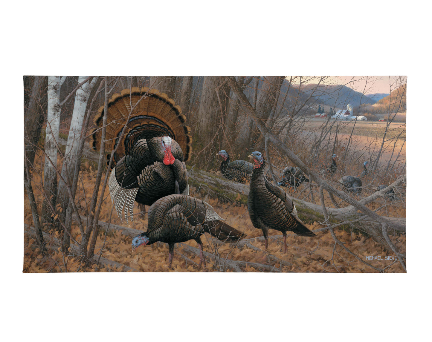 Chisholm Turkey - 18" x 36" Gallery Wrapped Canvas