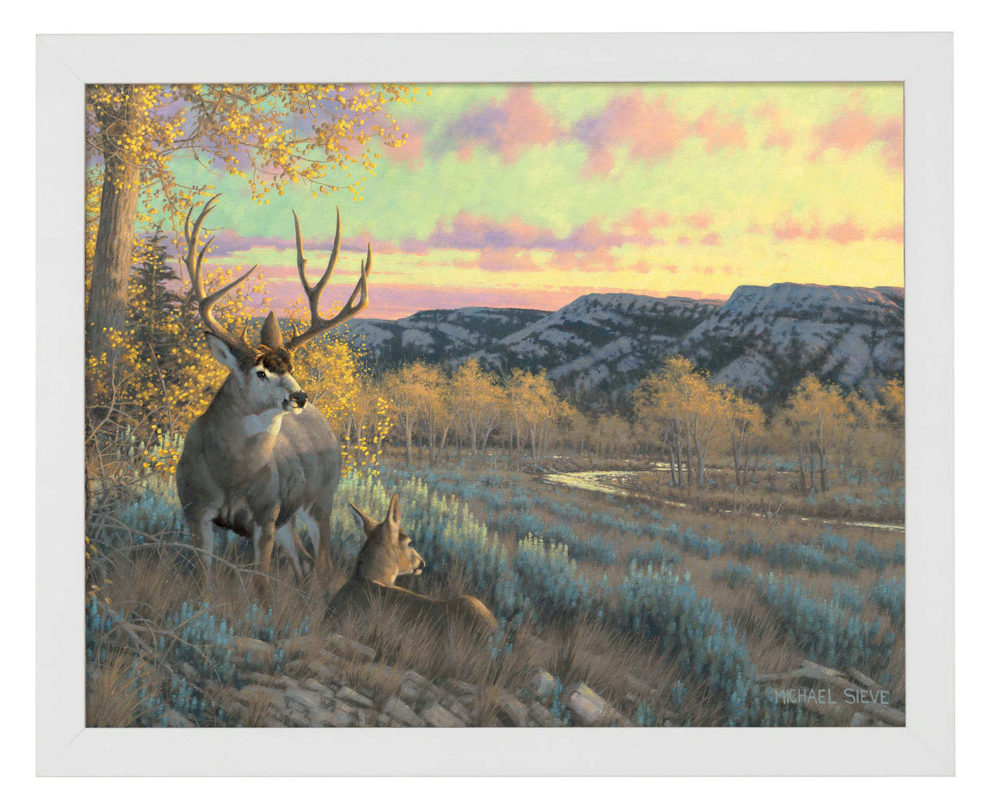 Stand With Me - Mule Deer - Art Prints