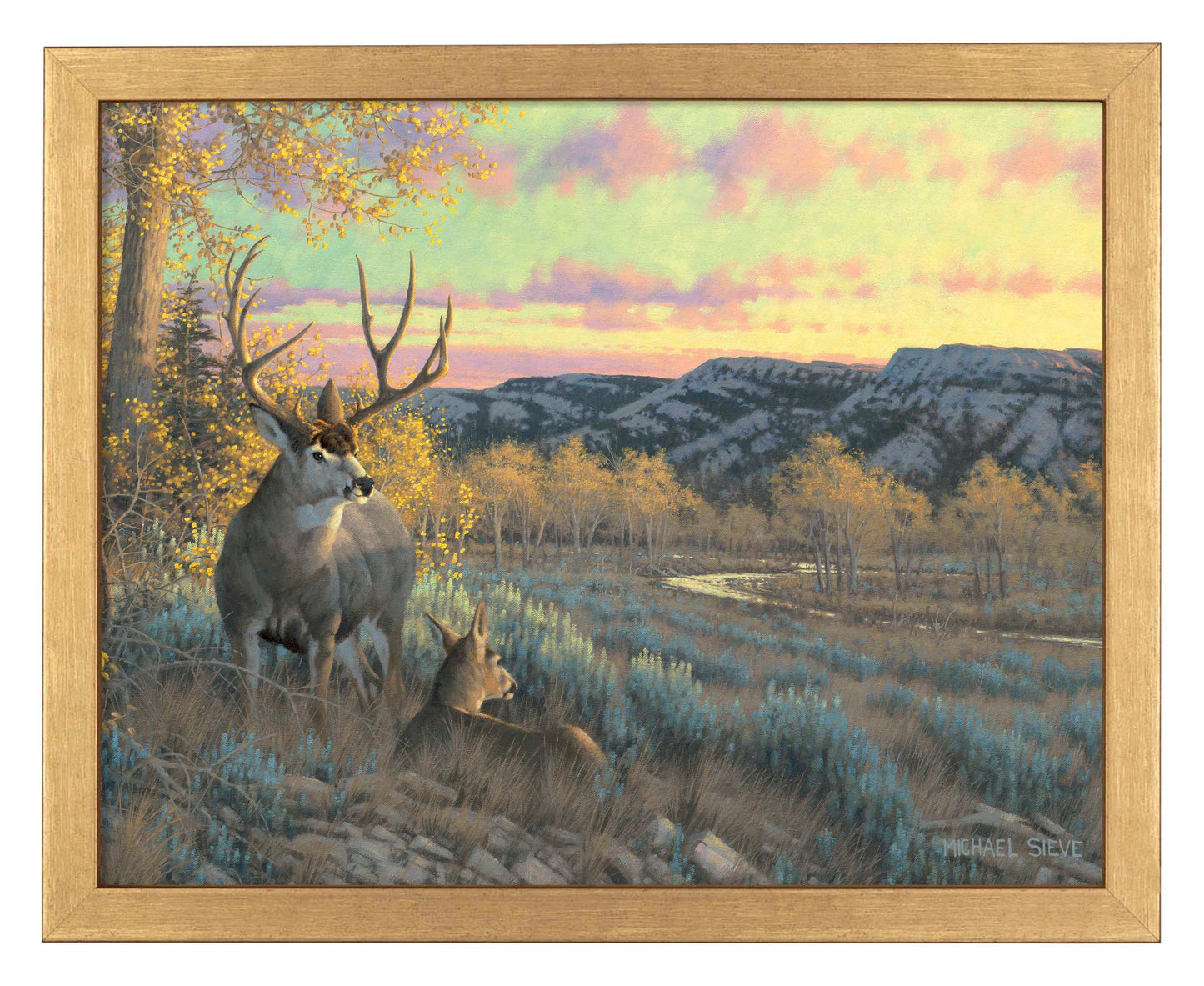 Stand With Me - Mule Deer - Art Prints