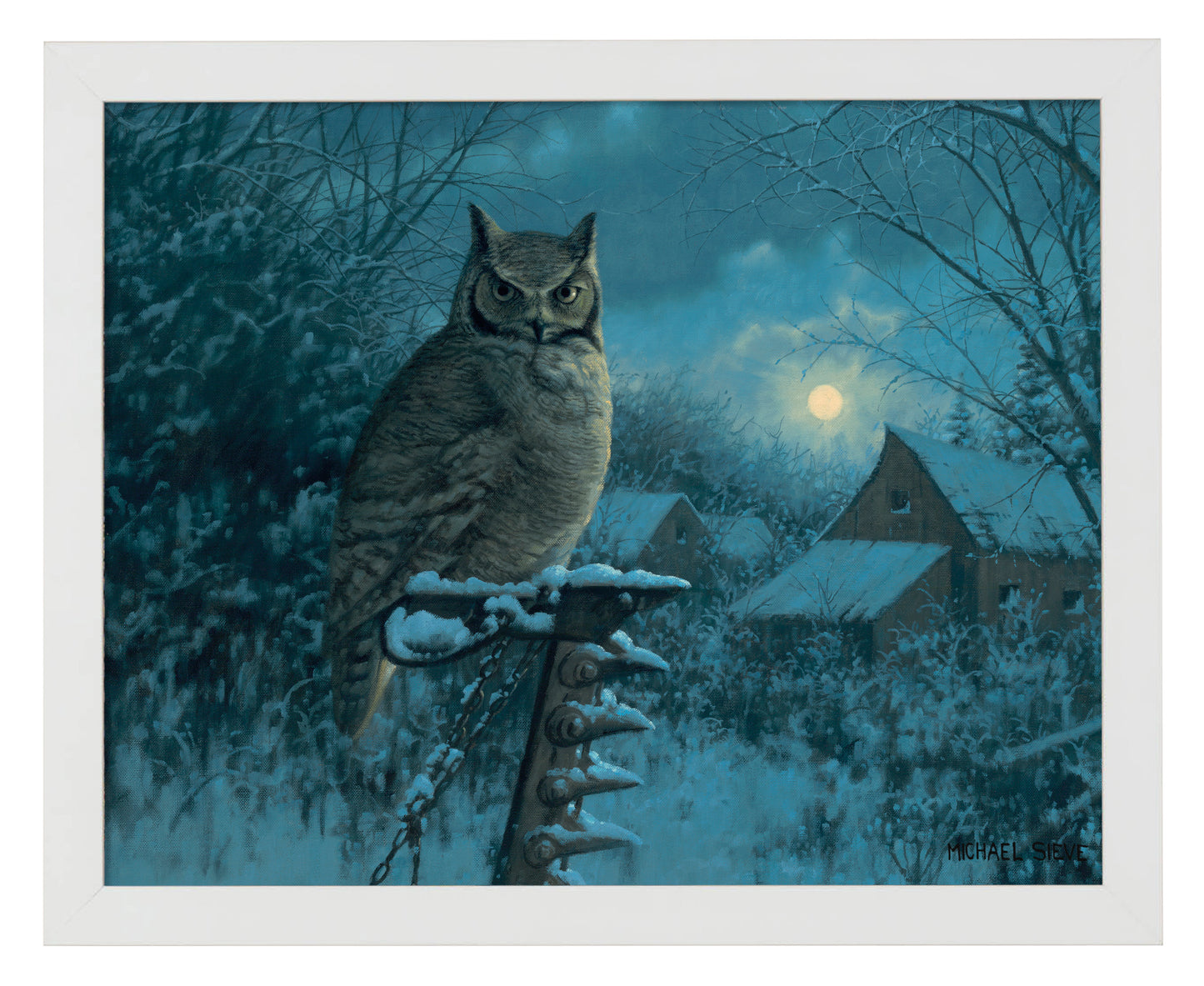 Tiger of the Night - Art Prints