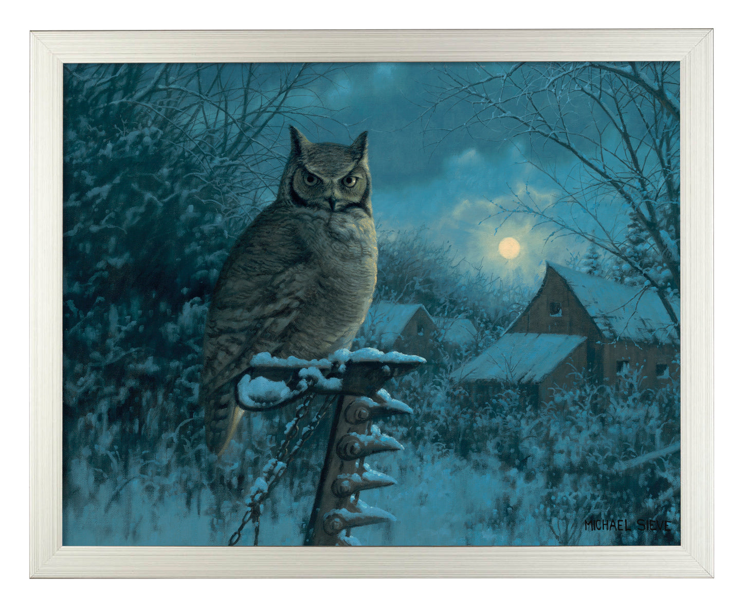 Tiger of the Night - Art Prints
