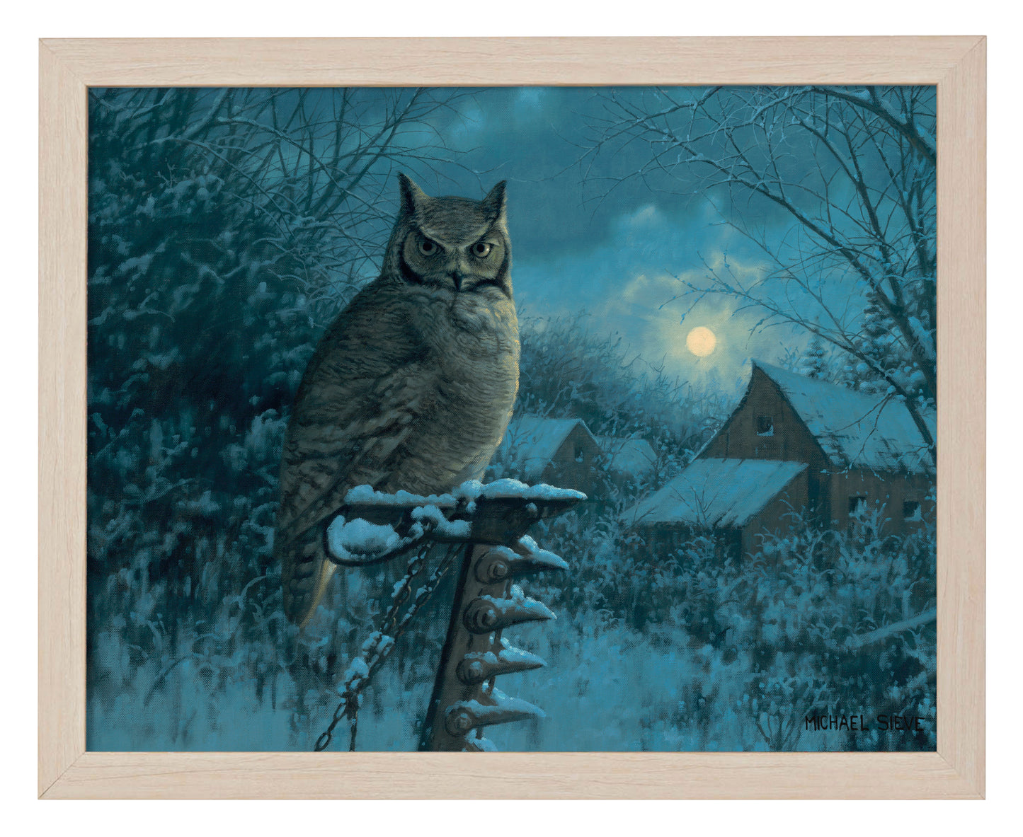 Tiger of the Night - Art Prints