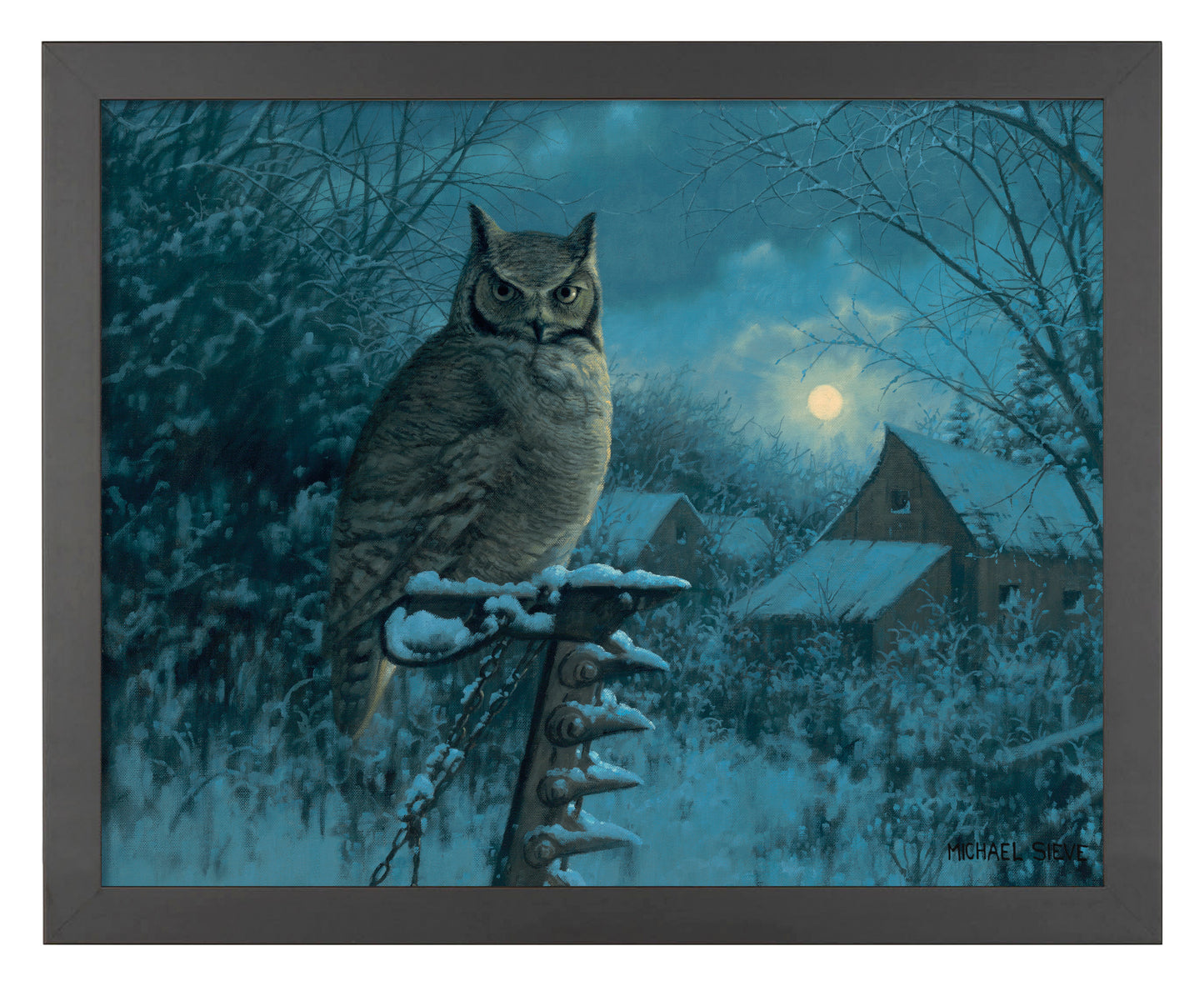 Tiger of the Night - Art Prints