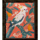 Lemon Grove Serenade - Cockatoo Amidst Citrus Blooms - Limited Edition Canvas
