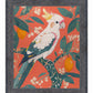 Lemon Grove Serenade - Cockatoo Amidst Citrus Blooms - Limited Edition Canvas
