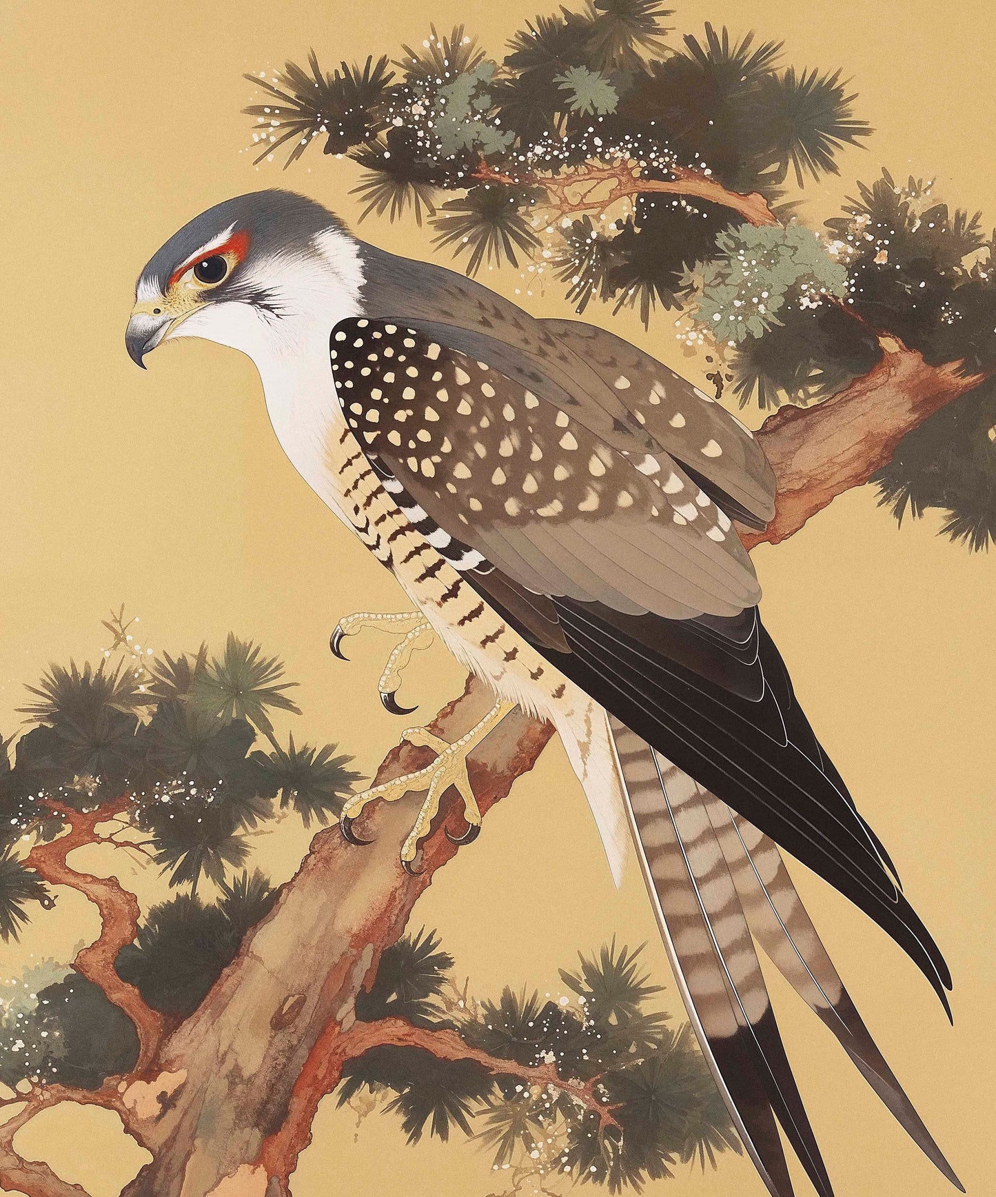 Graceful Sentinel - Falcon in Pine Grove - Limited Edition Canvas
