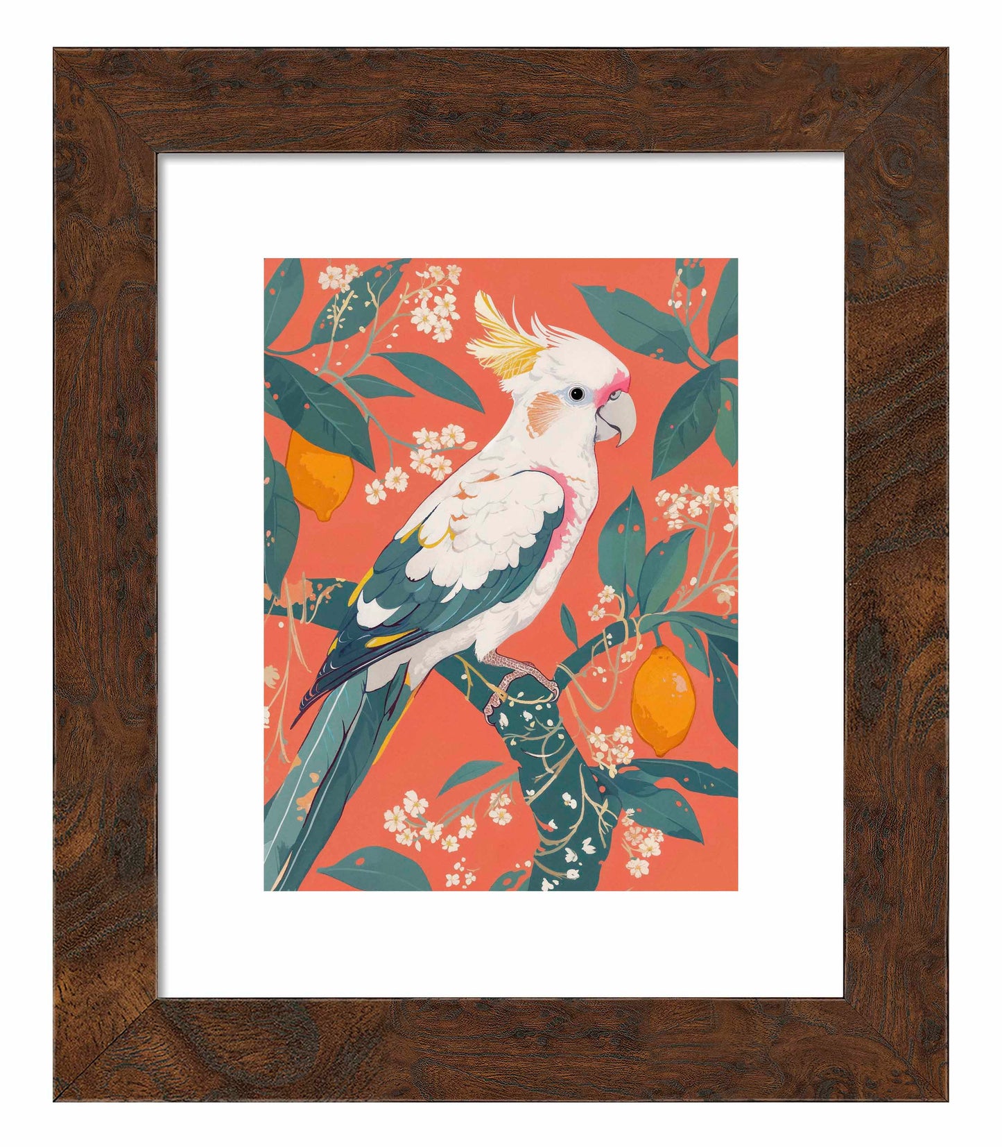 Lemon Grove Serenade - Cockatoo Amidst Citrus Blooms - Art Prints