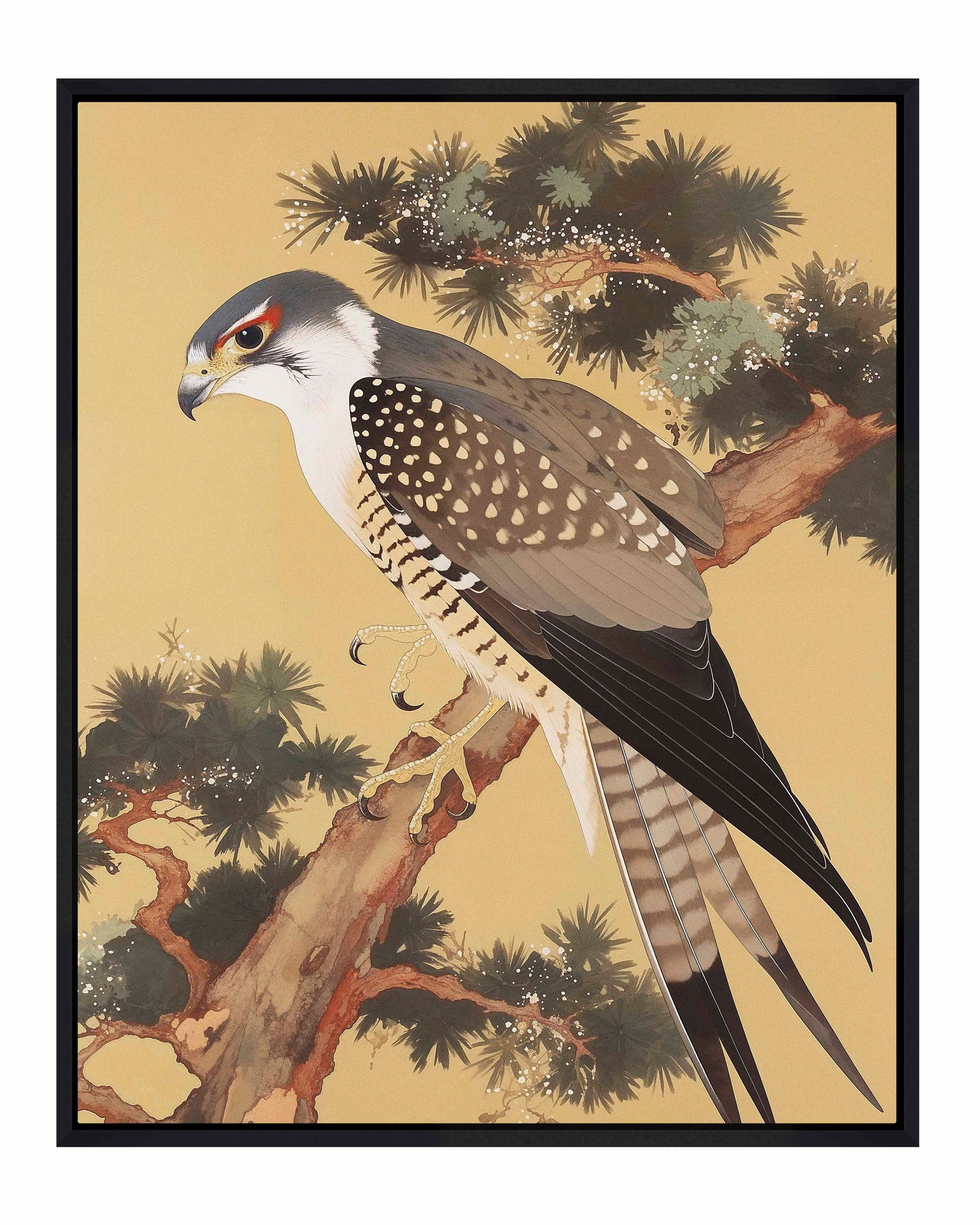 Graceful Sentinel - Falcon in Pine Grove - Gallery Wrapped Canvas