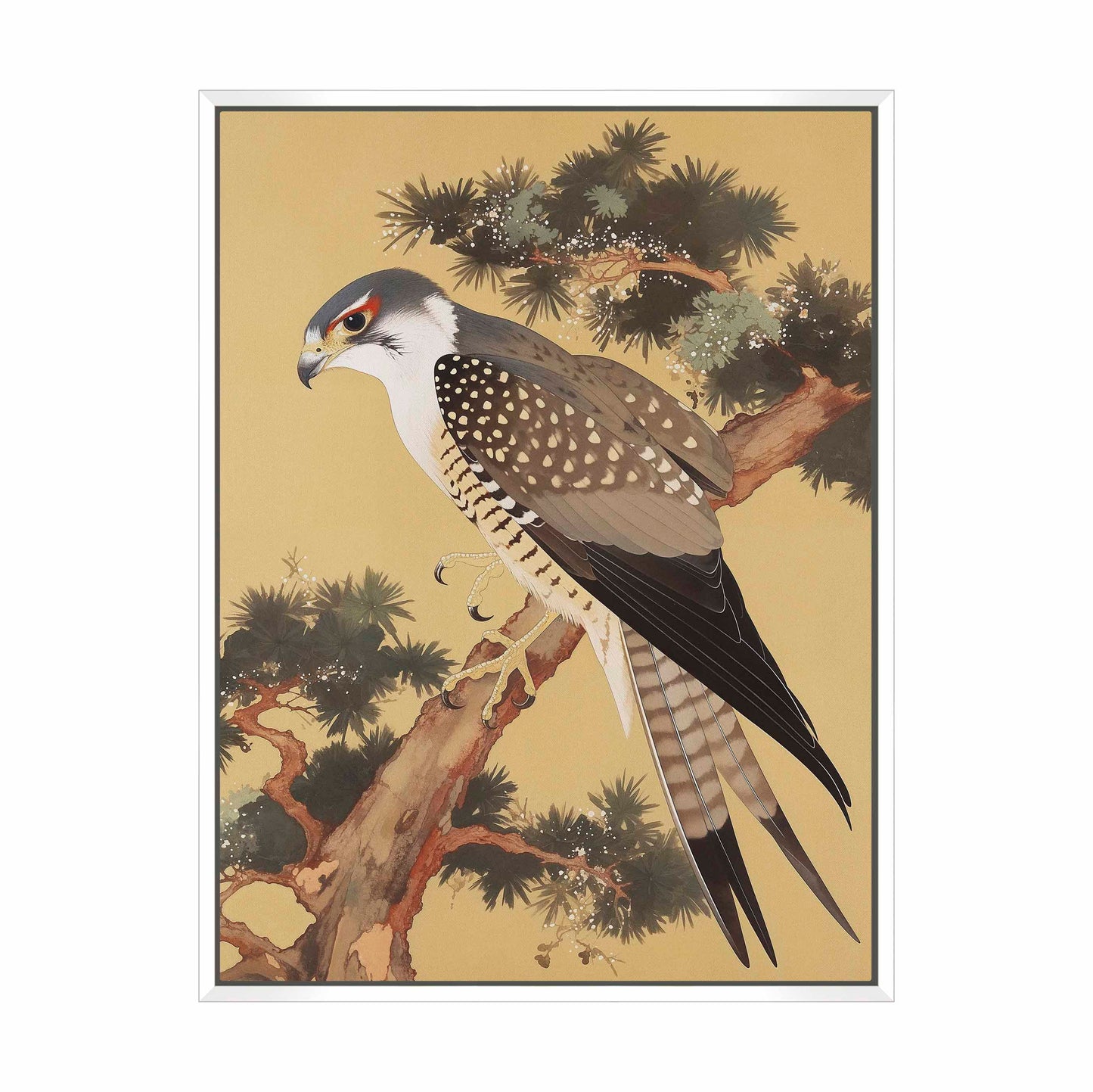 Graceful Sentinel - Falcon in Pine Grove - Gallery Wrapped Canvas