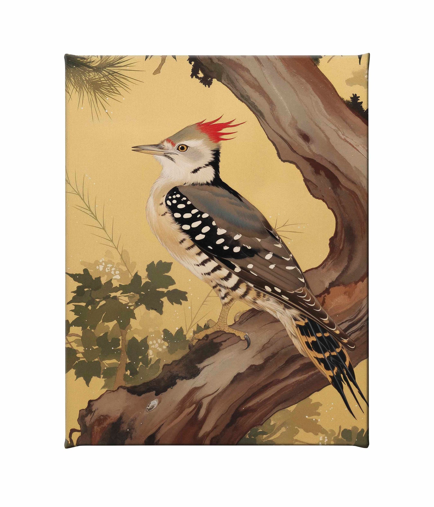 Echoes of the Forest - Woodpecker in Pine Haven - Gallery Wrapped Canvas