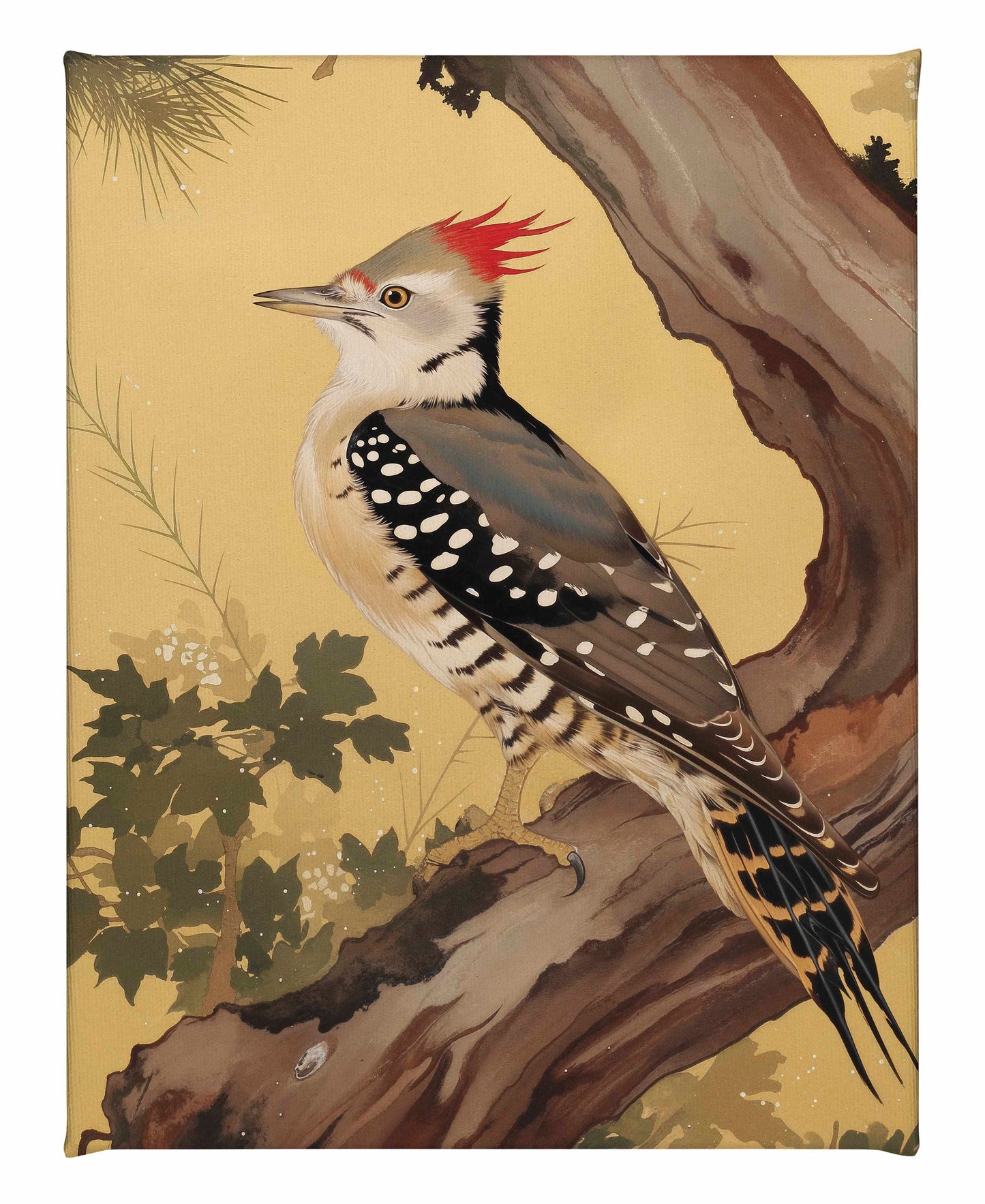 Echoes of the Forest - Woodpecker in Pine Haven - Gallery Wrapped Canvas