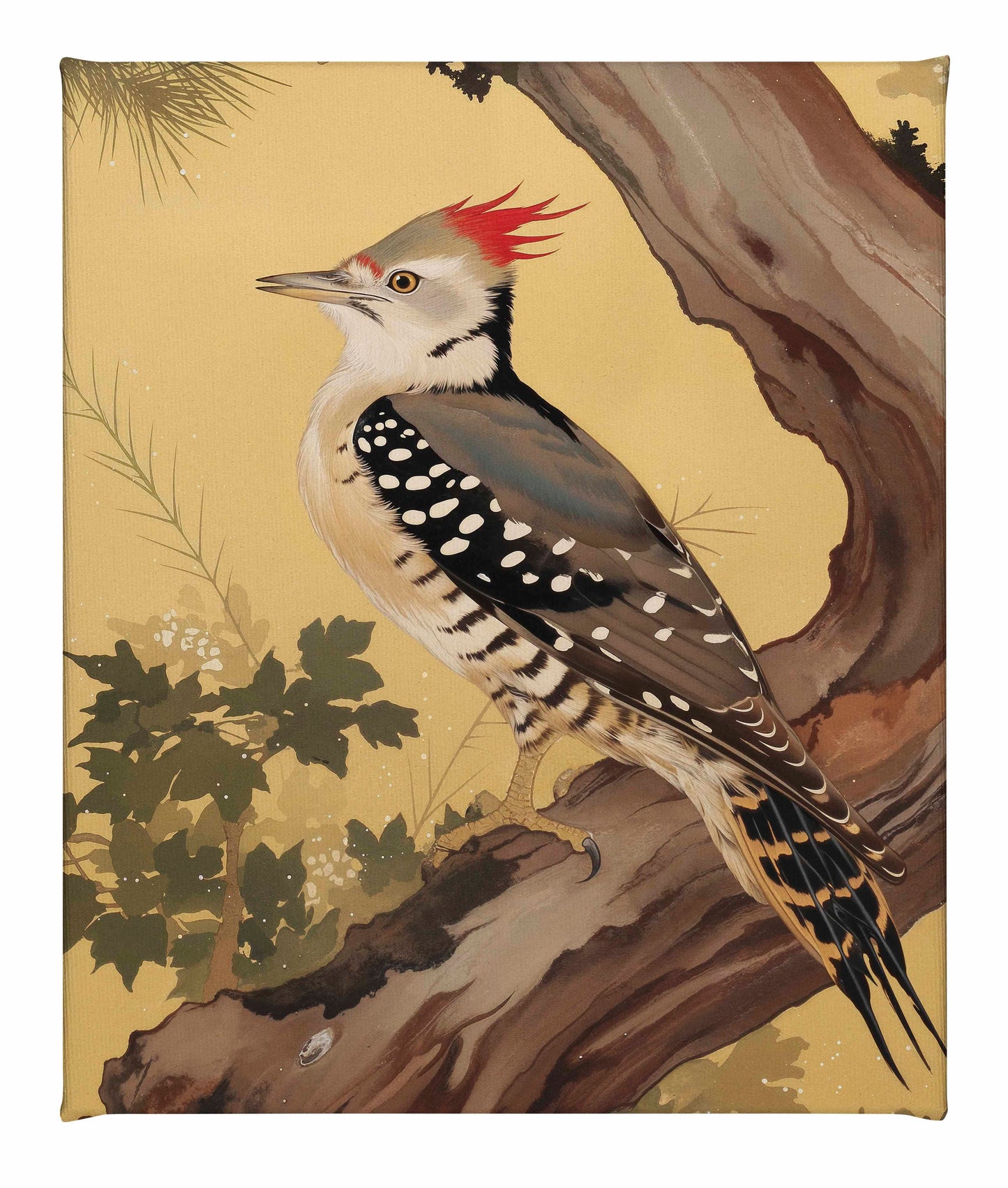 Echoes of the Forest - Woodpecker in Pine Haven - Gallery Wrapped Canvas