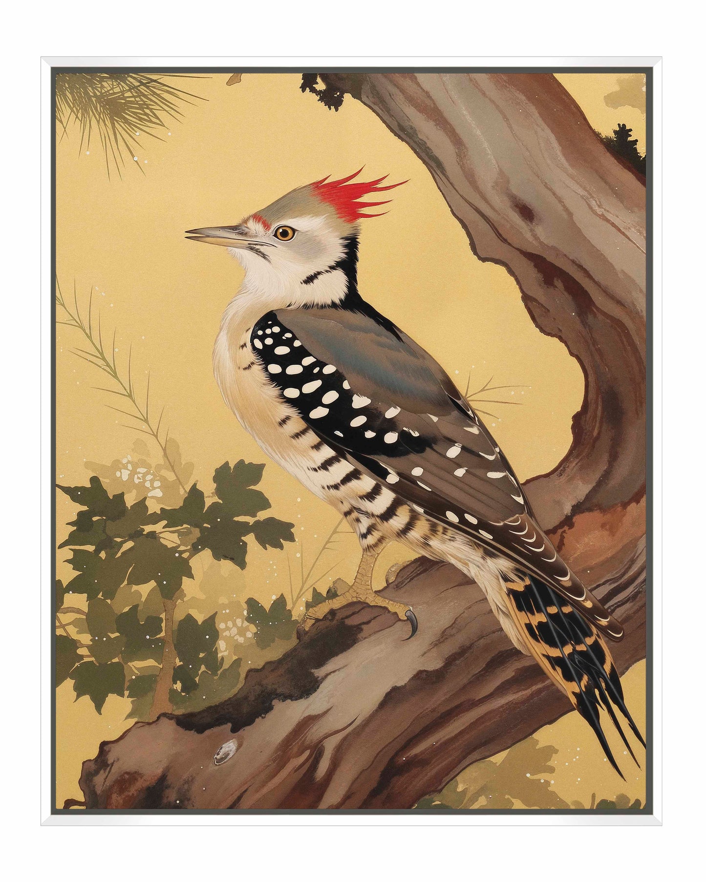 Echoes of the Forest - Woodpecker in Pine Haven - Gallery Wrapped Canvas