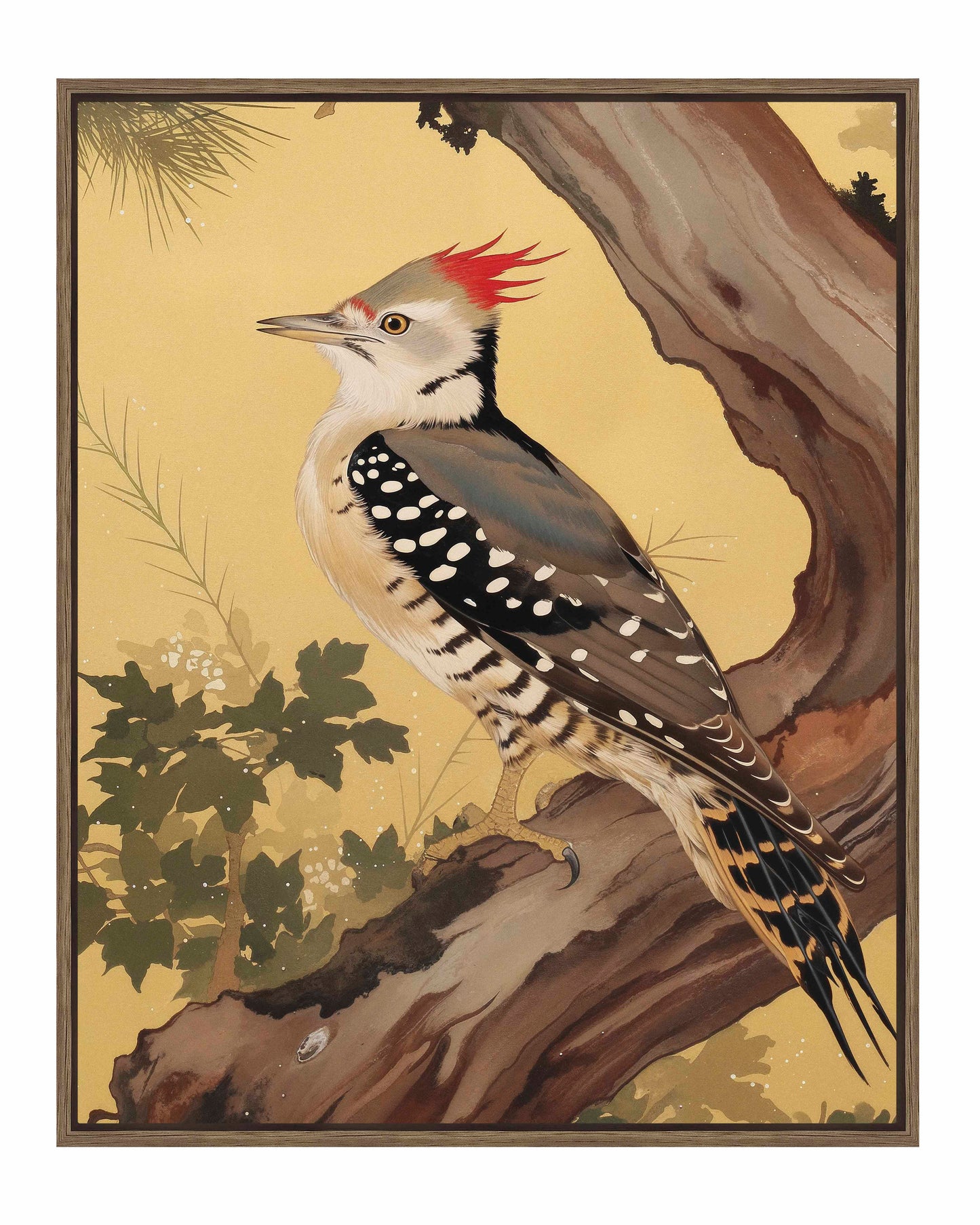 Echoes of the Forest - Woodpecker in Pine Haven - Gallery Wrapped Canvas