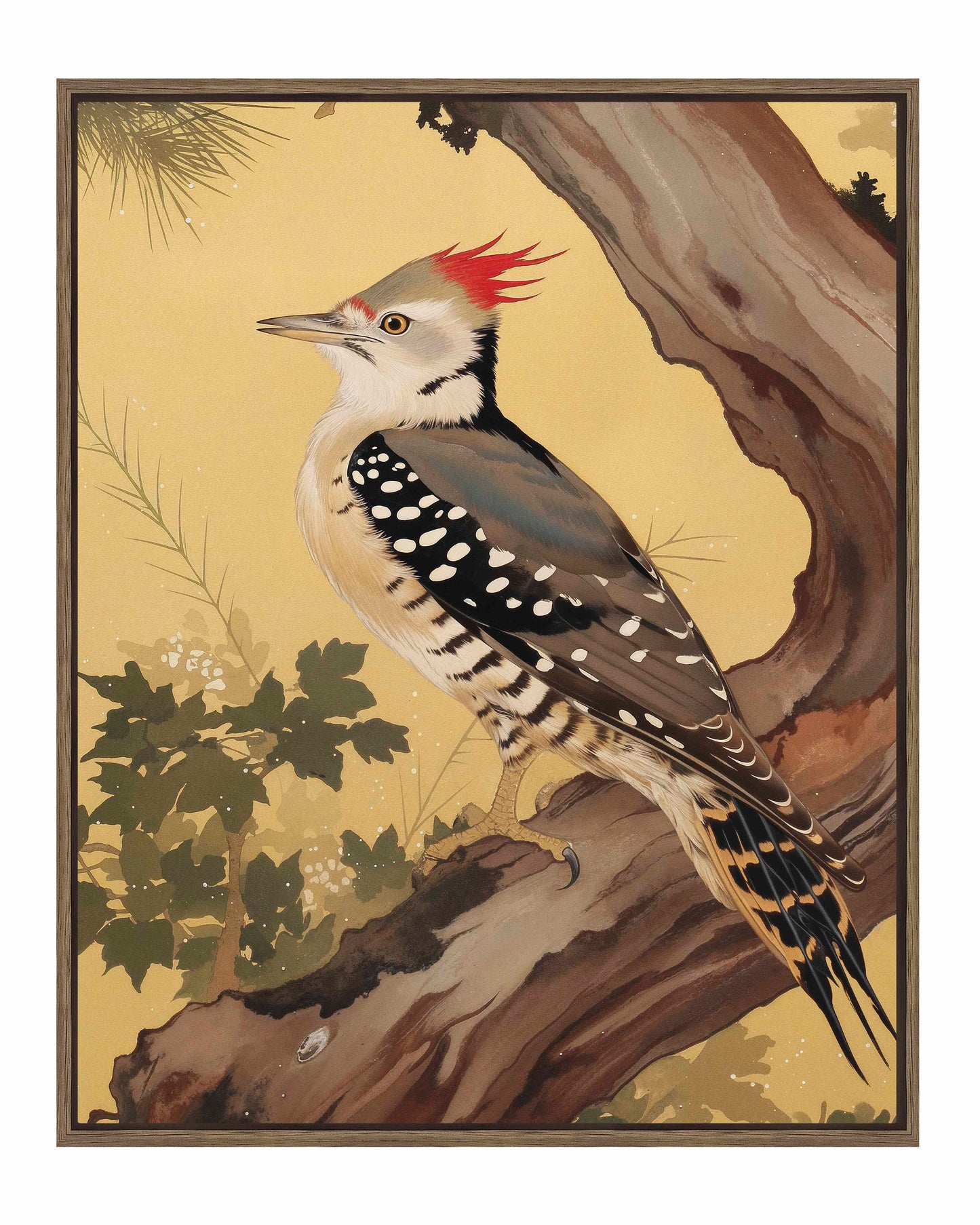 Echoes of the Forest - Woodpecker in Pine Haven - Gallery Wrapped Canvas