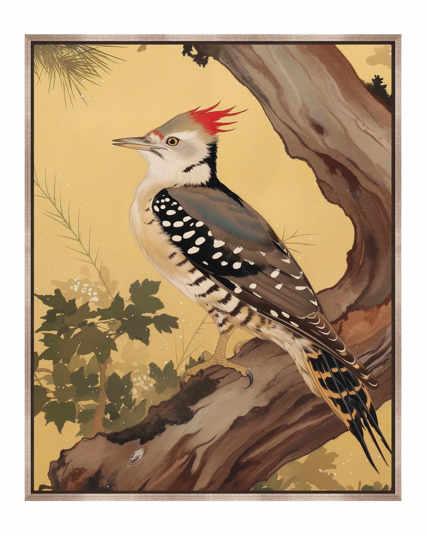 Echoes of the Forest - Woodpecker in Pine Haven - Gallery Wrapped Canvas