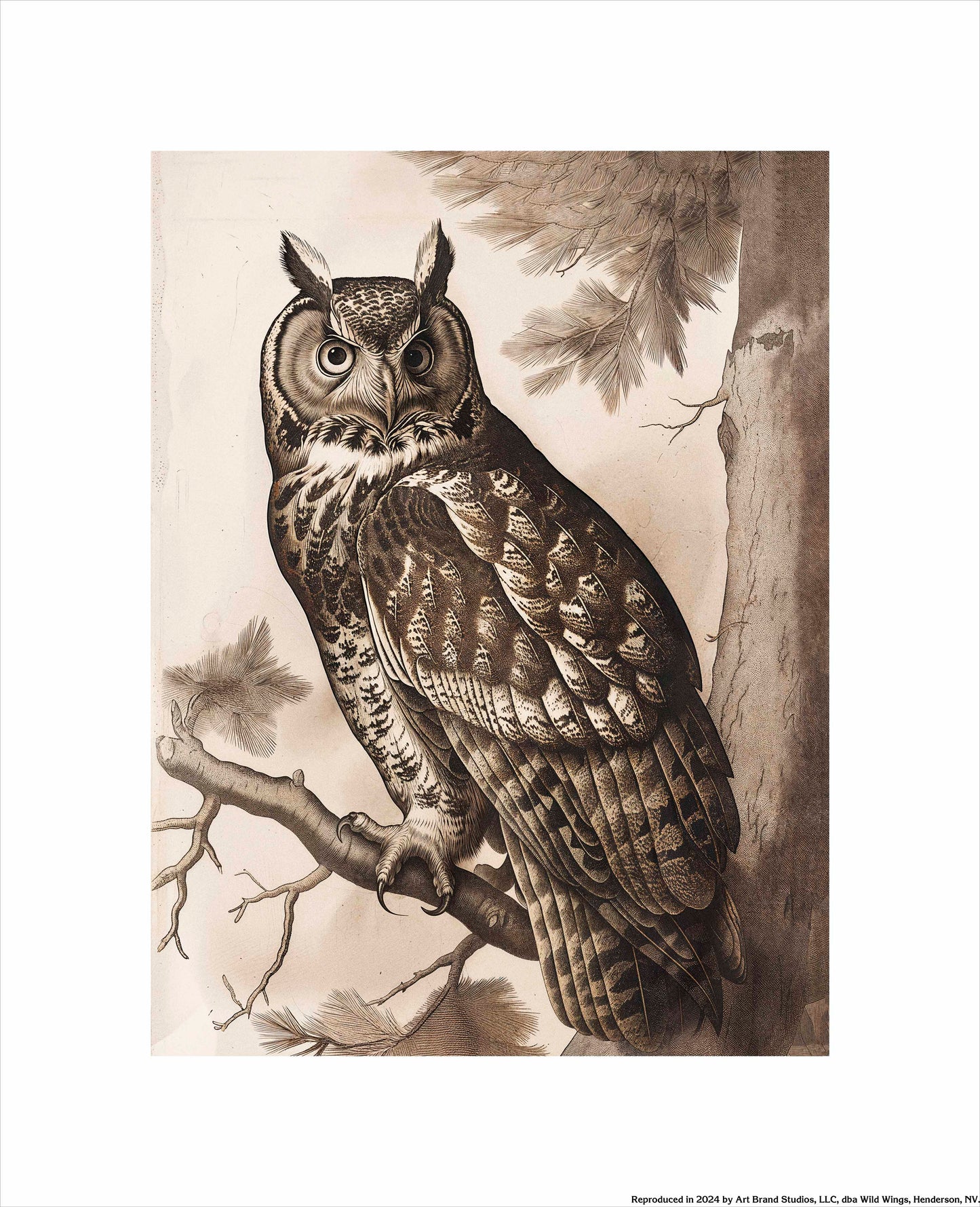 Silent Guardian - Great Horned Owl - Art Prints