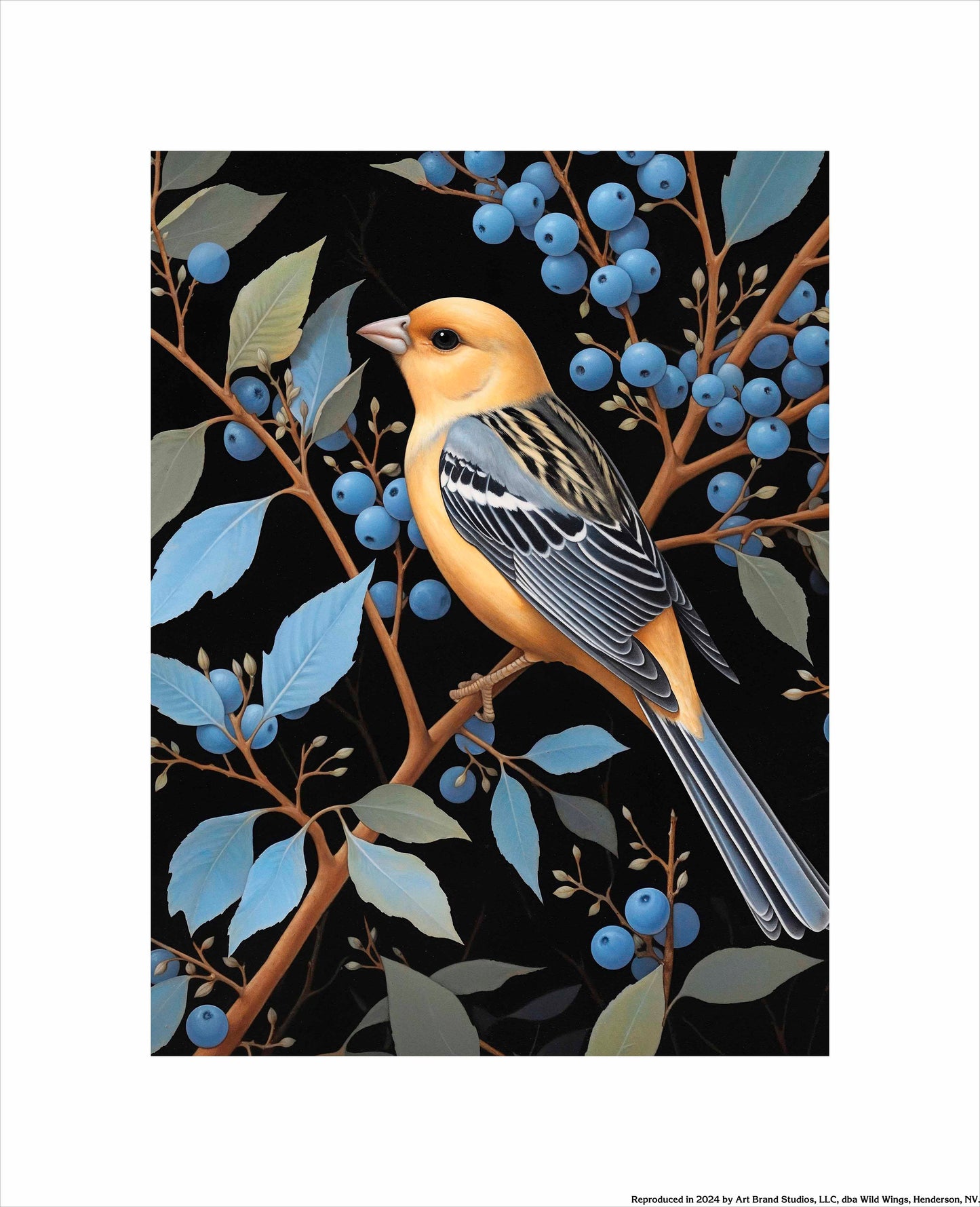 Bounty of Blue - Oriole Amidst Berries - Art Prints
