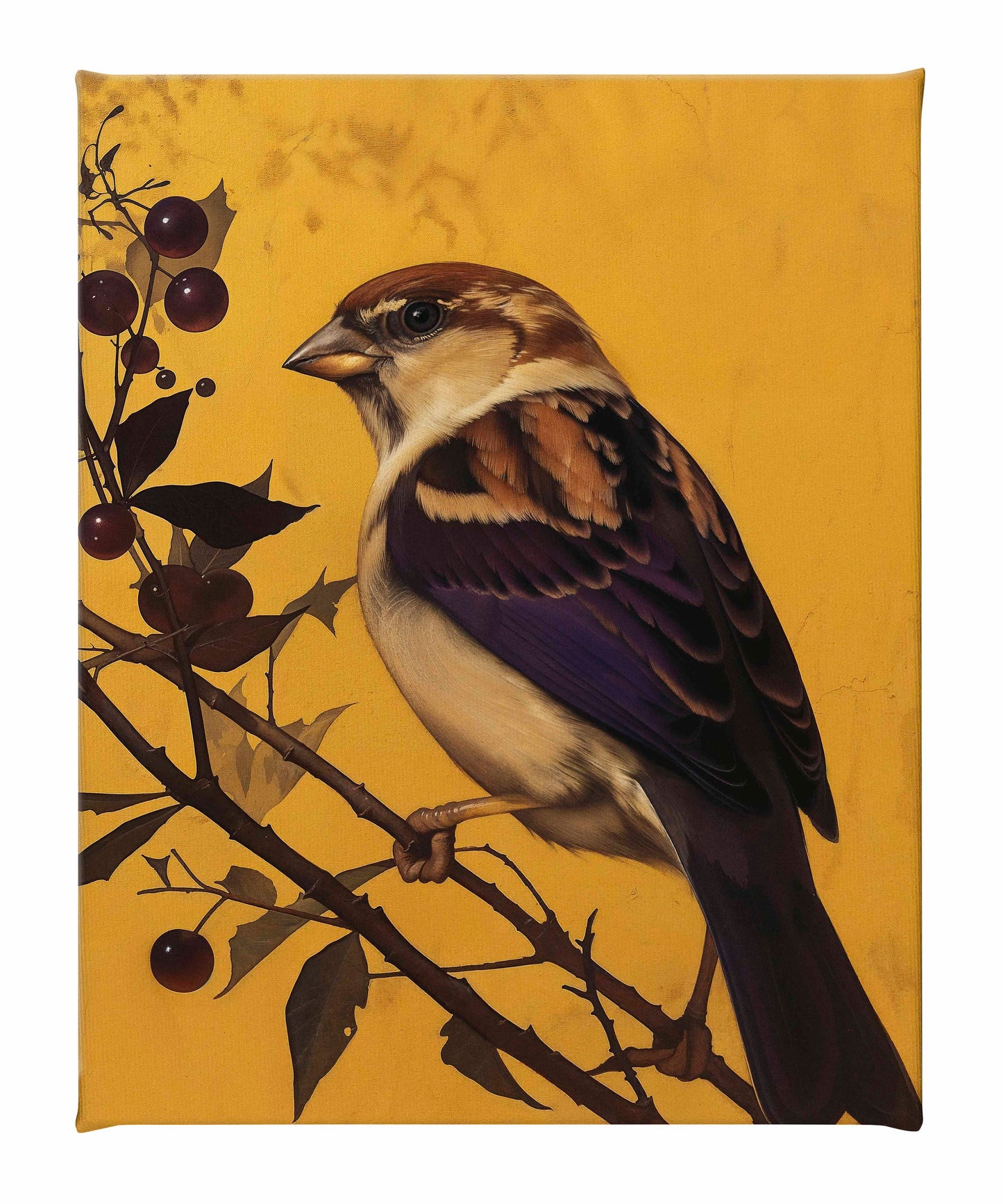 Golden Perch - Sparrow Among Dark Berries - Gallery Wrapped Canvas