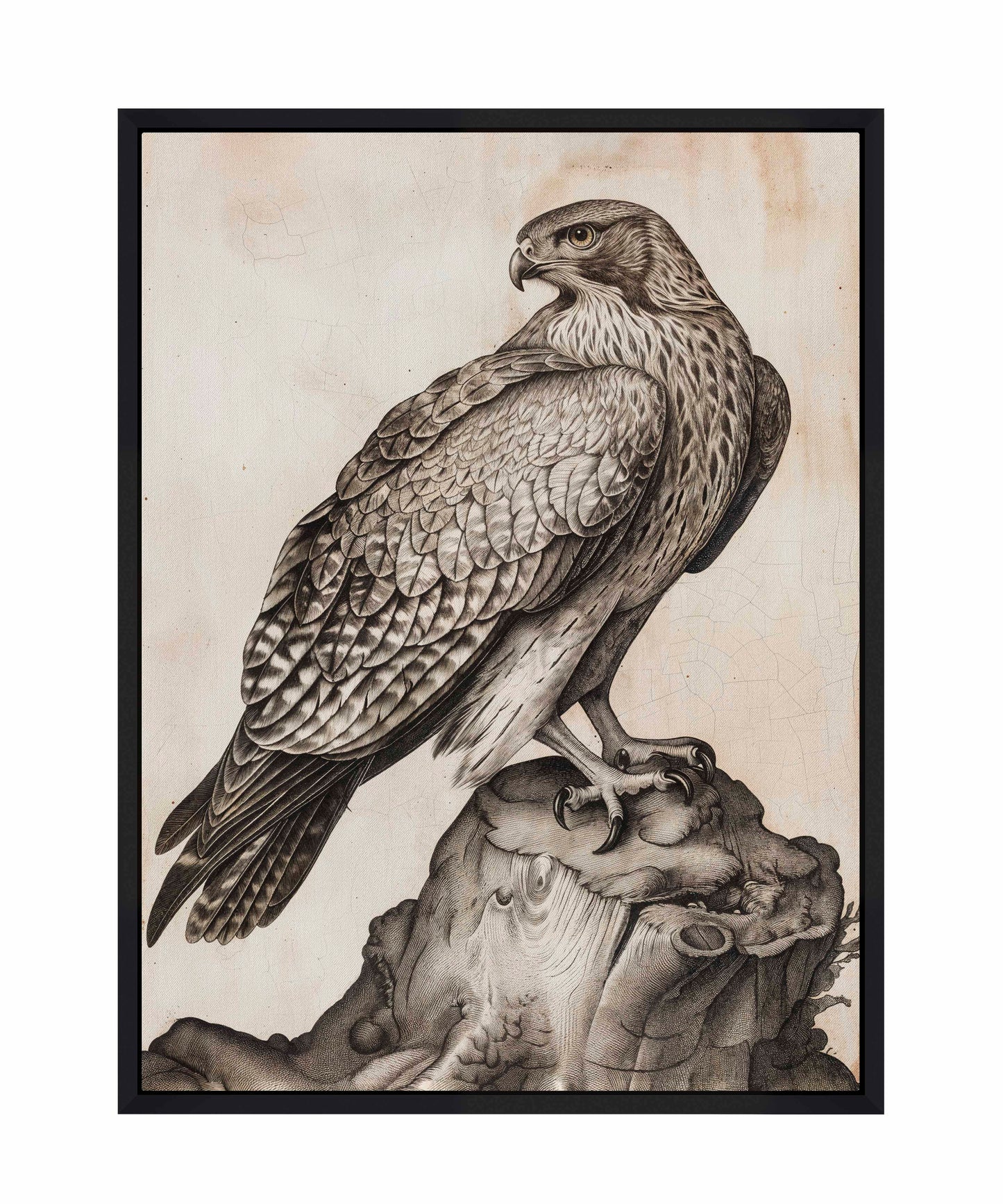 Majestic Sentinel - Hawk - Gallery Wrapped Canvas