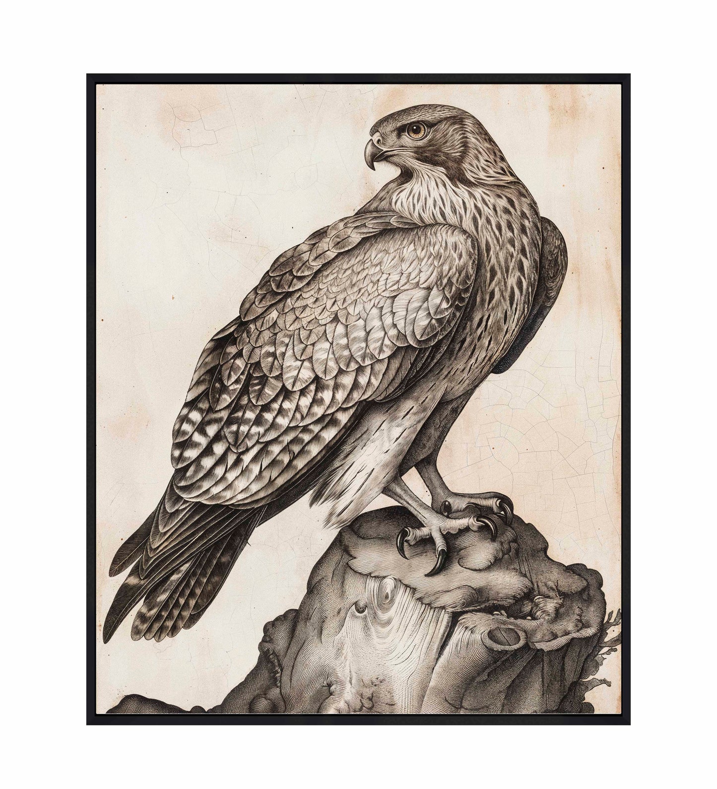 Majestic Sentinel - Hawk - Gallery Wrapped Canvas