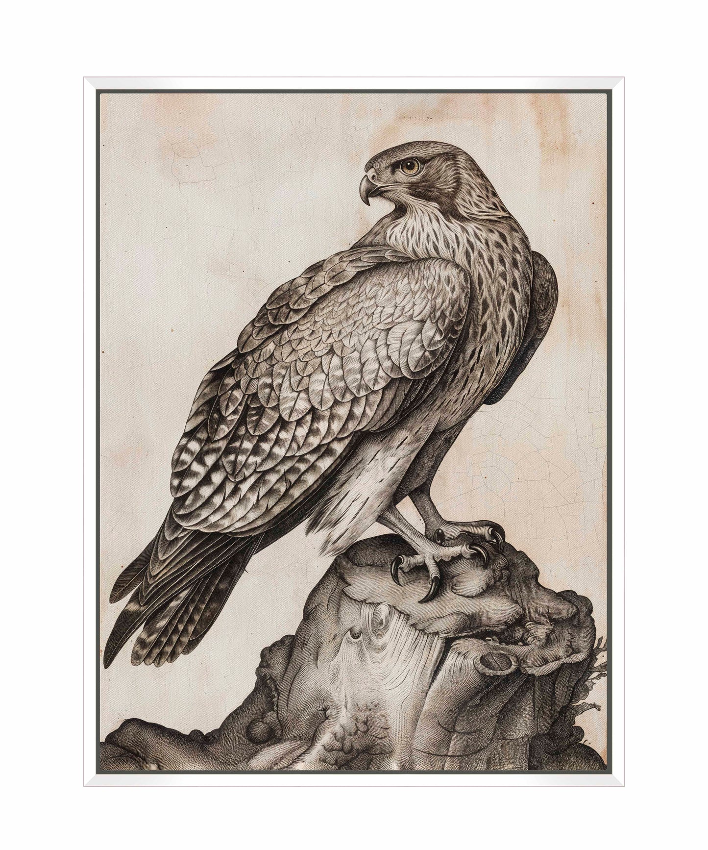 Majestic Sentinel - Hawk - Gallery Wrapped Canvas
