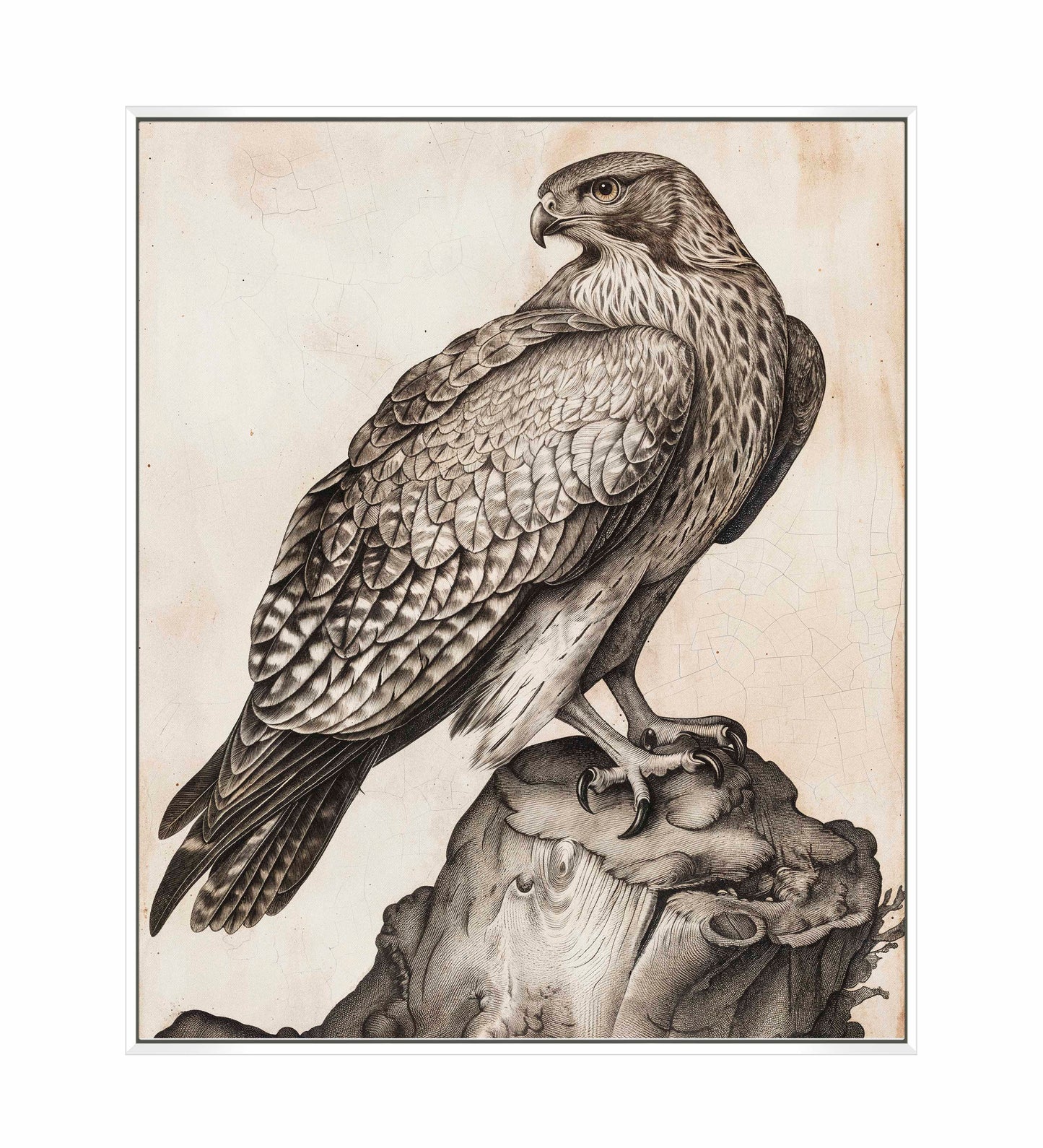 Majestic Sentinel - Hawk - Gallery Wrapped Canvas