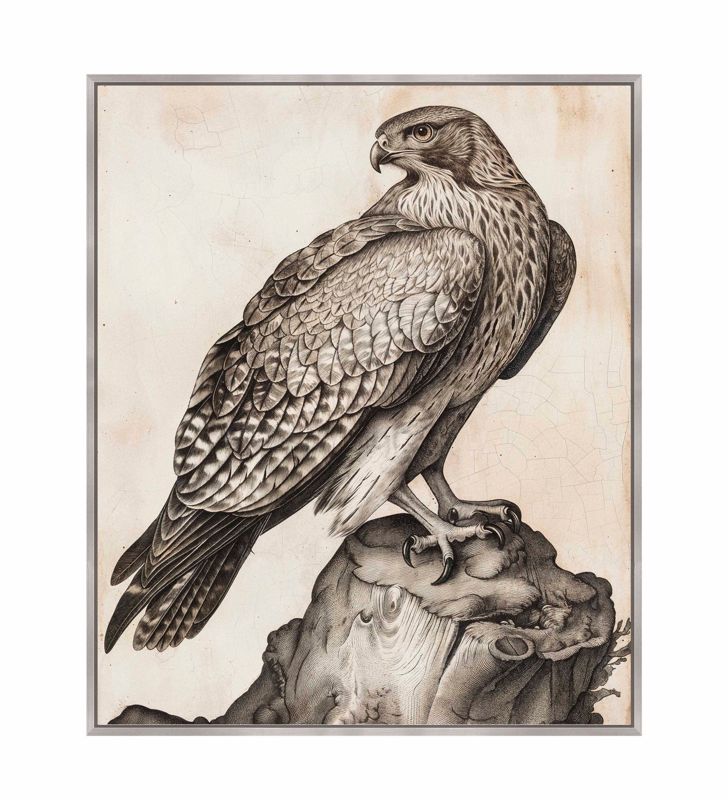 Majestic Sentinel - Hawk - Gallery Wrapped Canvas