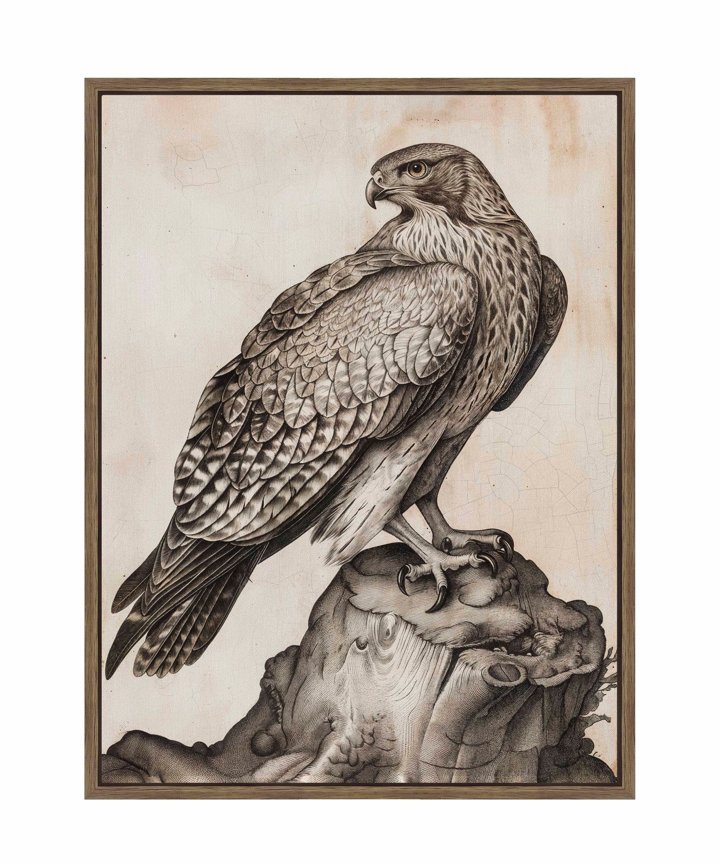 Majestic Sentinel - Hawk - Gallery Wrapped Canvas