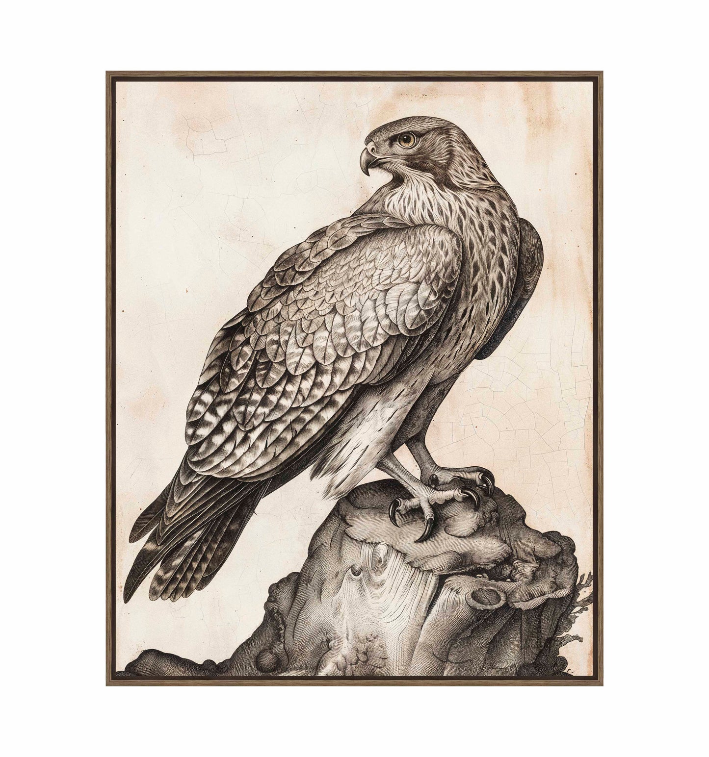 Majestic Sentinel - Hawk - Gallery Wrapped Canvas