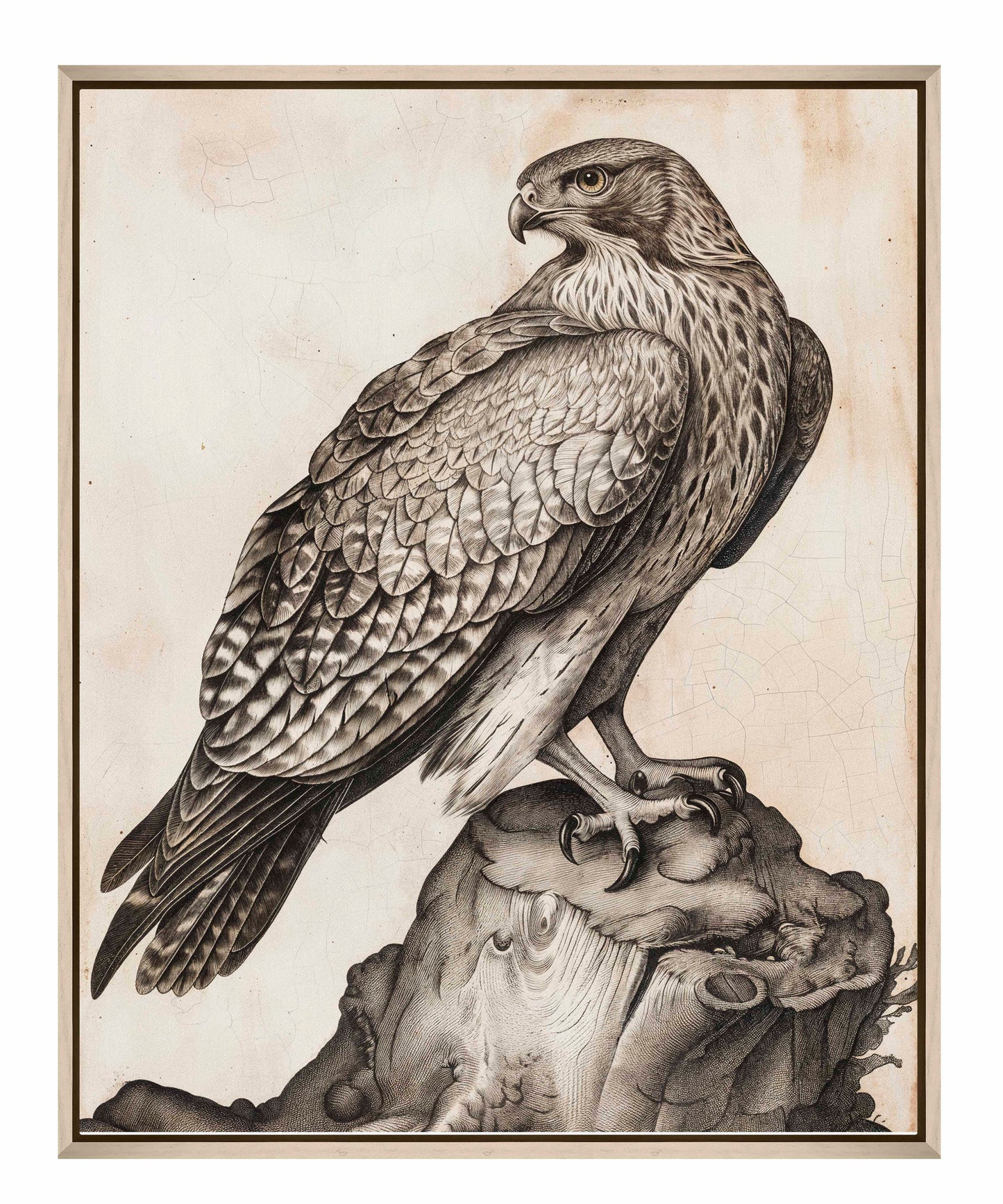 Majestic Sentinel - Hawk - Gallery Wrapped Canvas