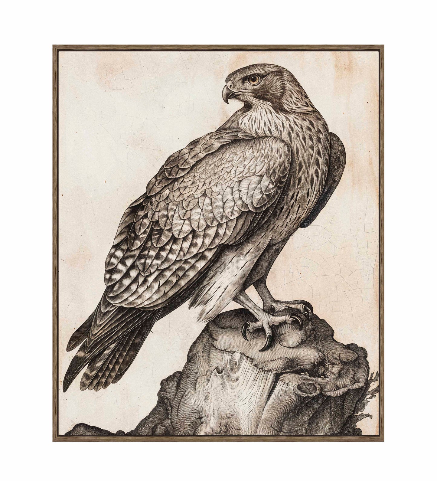 Majestic Sentinel - Hawk - Gallery Wrapped Canvas