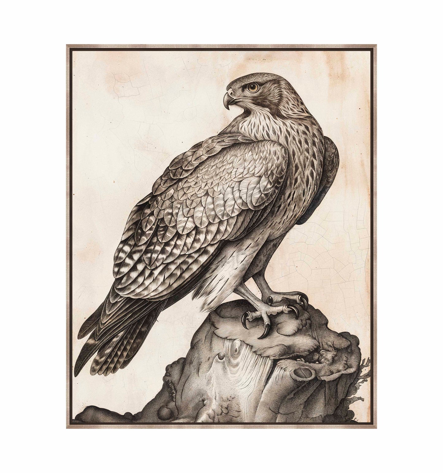 Majestic Sentinel - Hawk - Gallery Wrapped Canvas